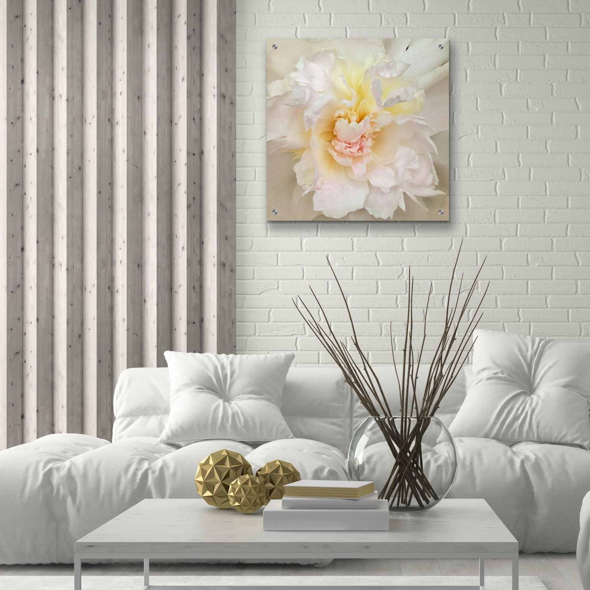 Epic Art ' Paeonia' by Rebecca Swanson, Acrylic Glass Wall Art,24x24