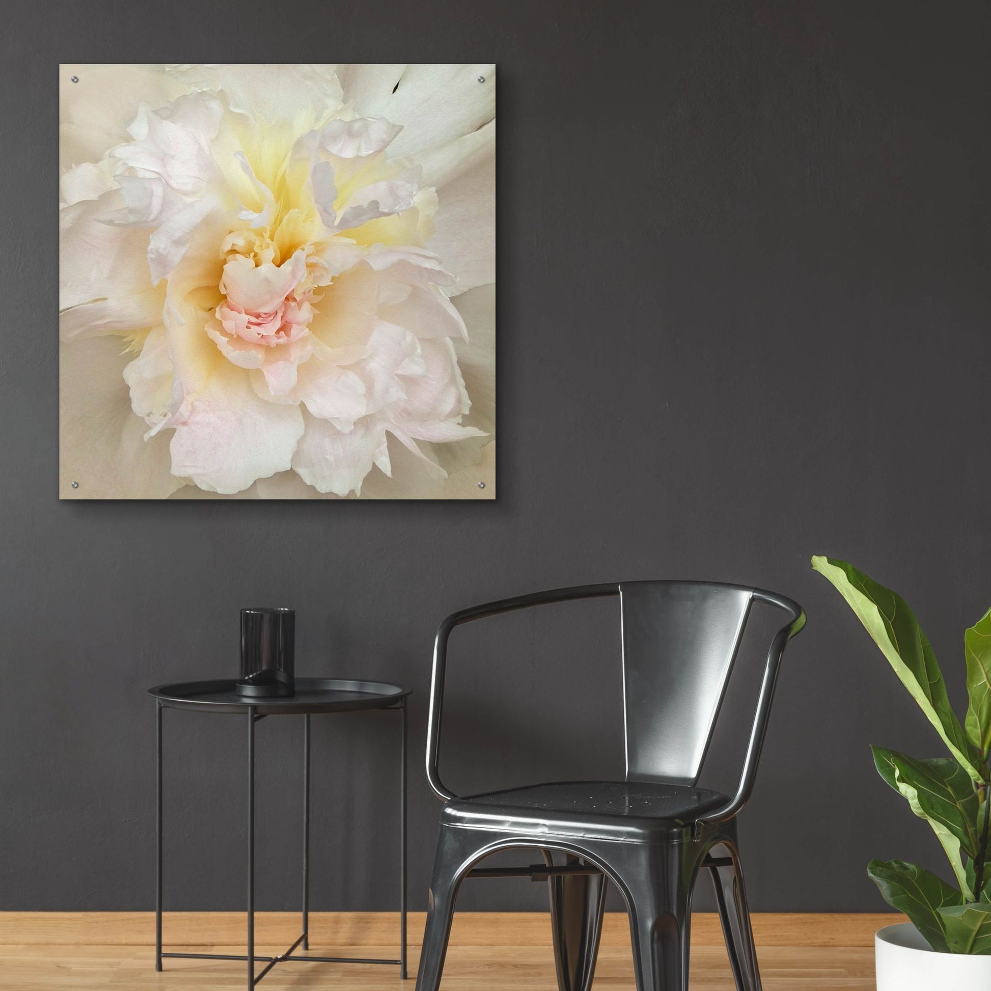 Epic Art ' Paeonia' by Rebecca Swanson, Acrylic Glass Wall Art,36x36