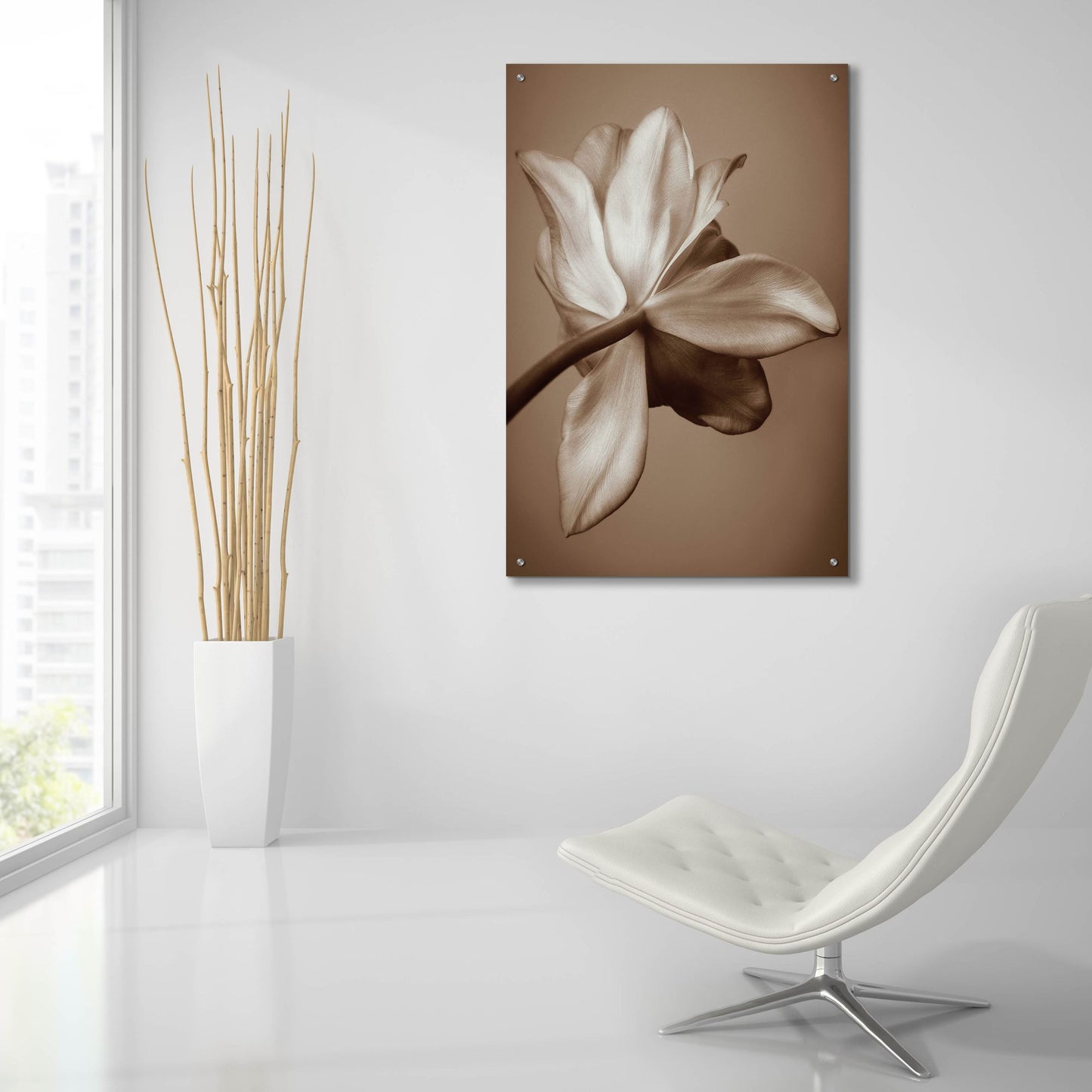 Epic Art ' Moonlight Tulip' by Rebecca Swanson, Acrylic Glass Wall Art,24x36