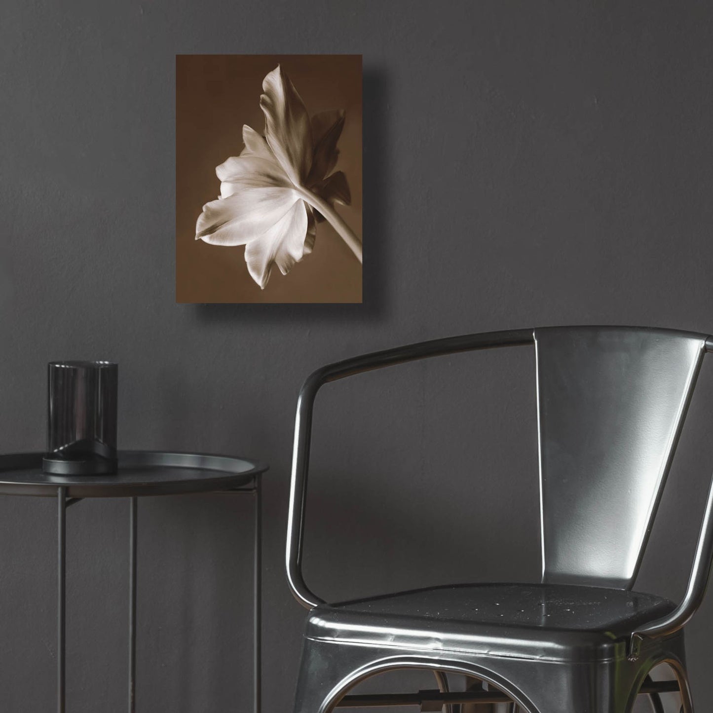 Epic Art ' Moonglow Tulip' by Rebecca Swanson, Acrylic Glass Wall Art,12x16