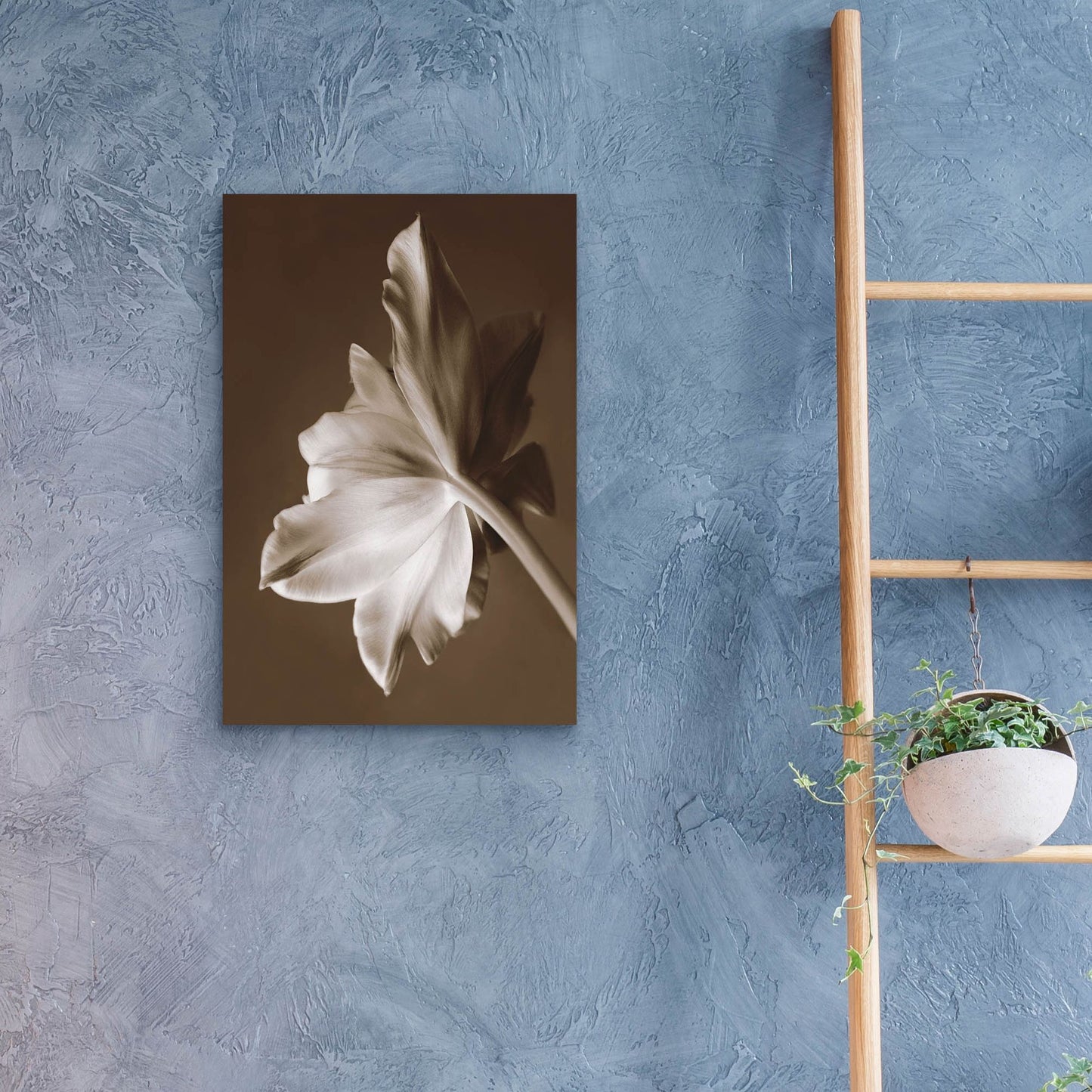 Epic Art ' Moonglow Tulip' by Rebecca Swanson, Acrylic Glass Wall Art,16x24