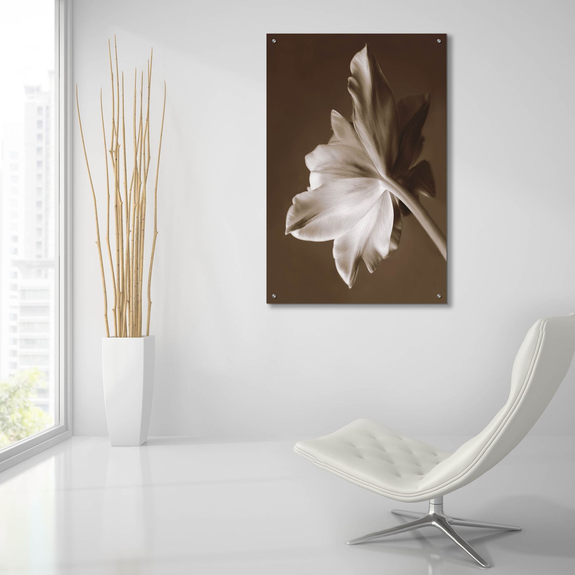 Epic Art ' Moonglow Tulip' by Rebecca Swanson, Acrylic Glass Wall Art,24x36