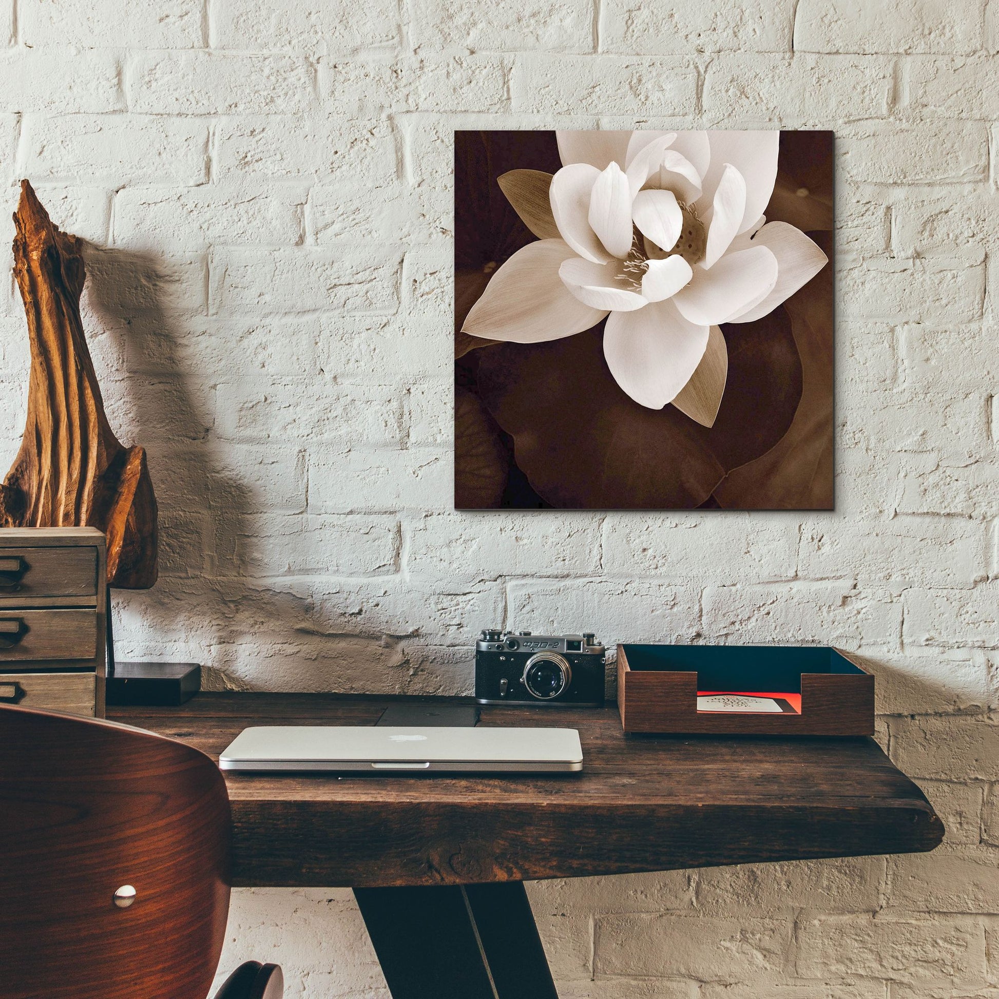 Epic Art ' Amazon Lotus' by Rebecca Swanson, Acrylic Glass Wall Art,12x12