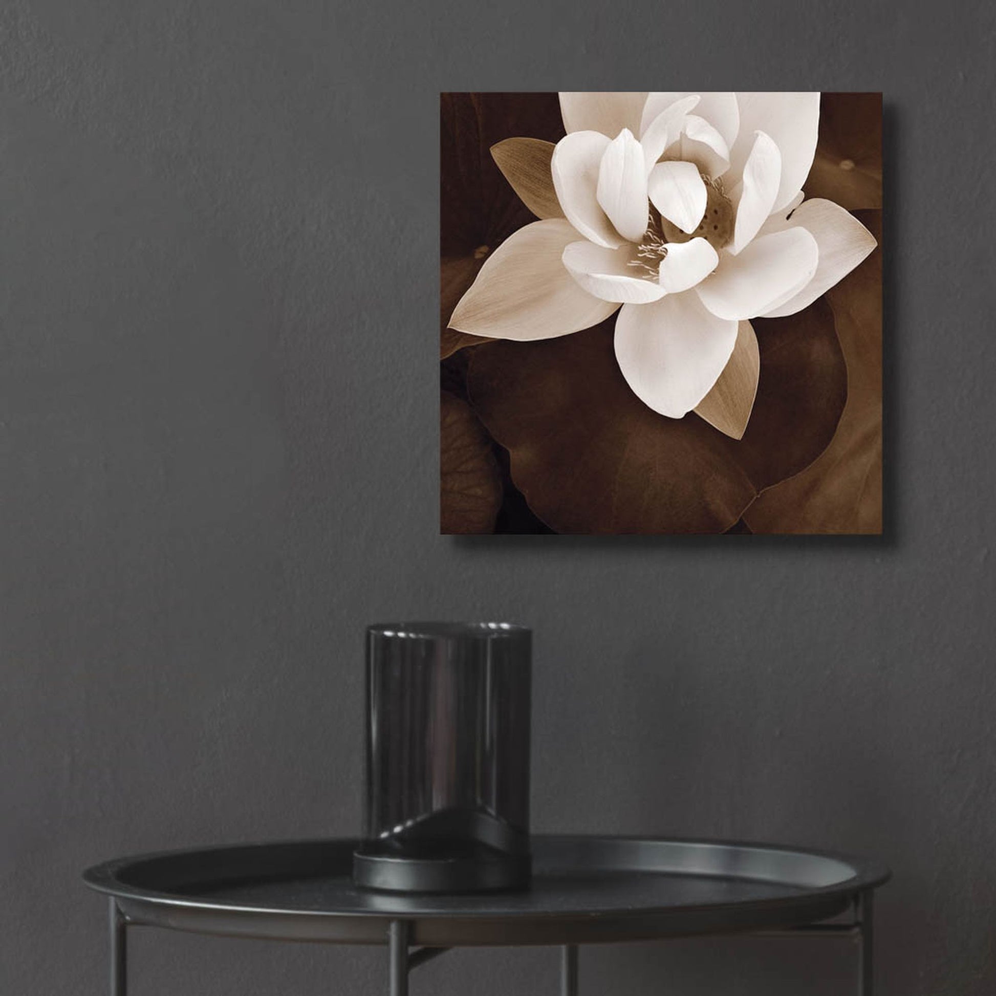 Epic Art ' Amazon Lotus' by Rebecca Swanson, Acrylic Glass Wall Art,12x12