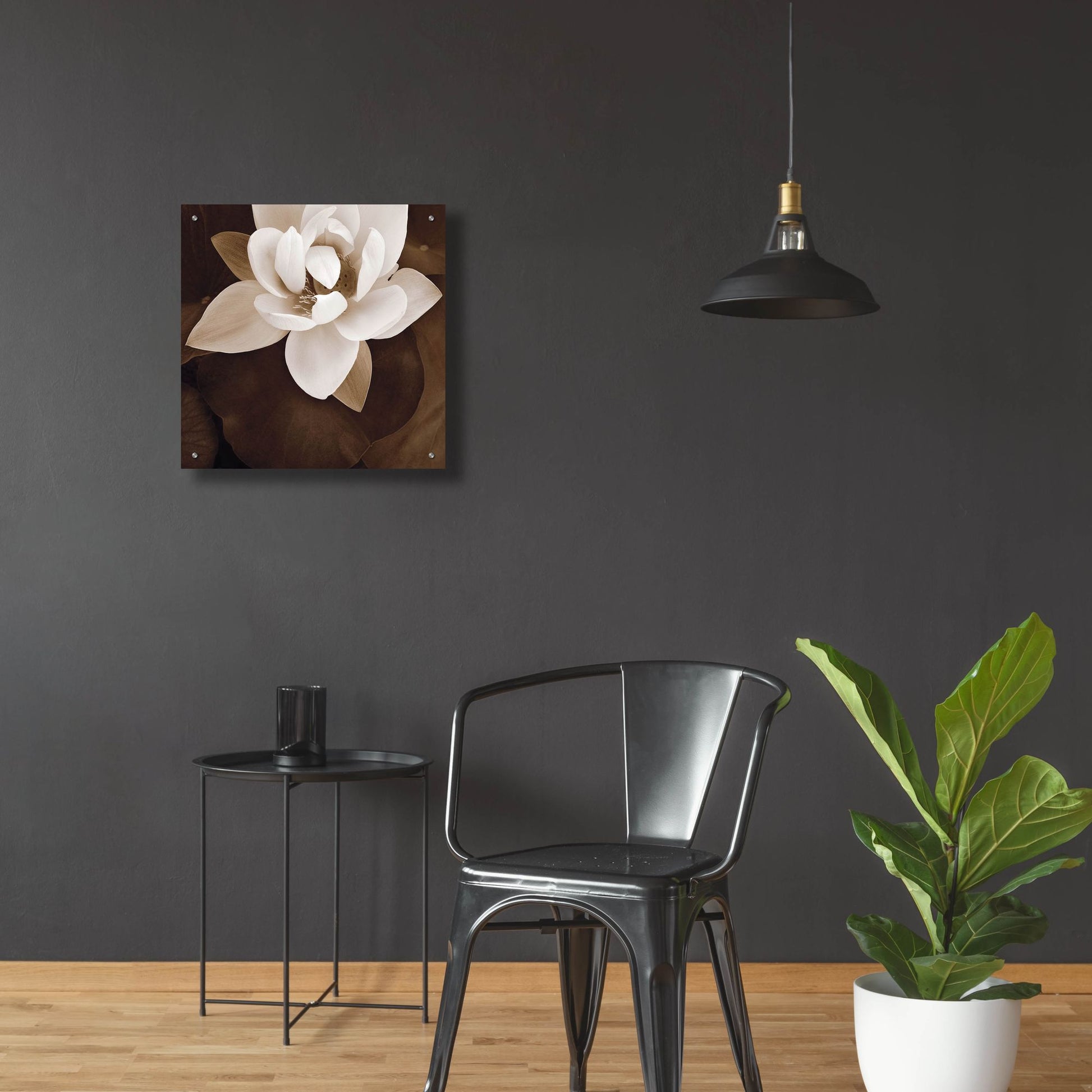 Epic Art ' Amazon Lotus' by Rebecca Swanson, Acrylic Glass Wall Art,24x24