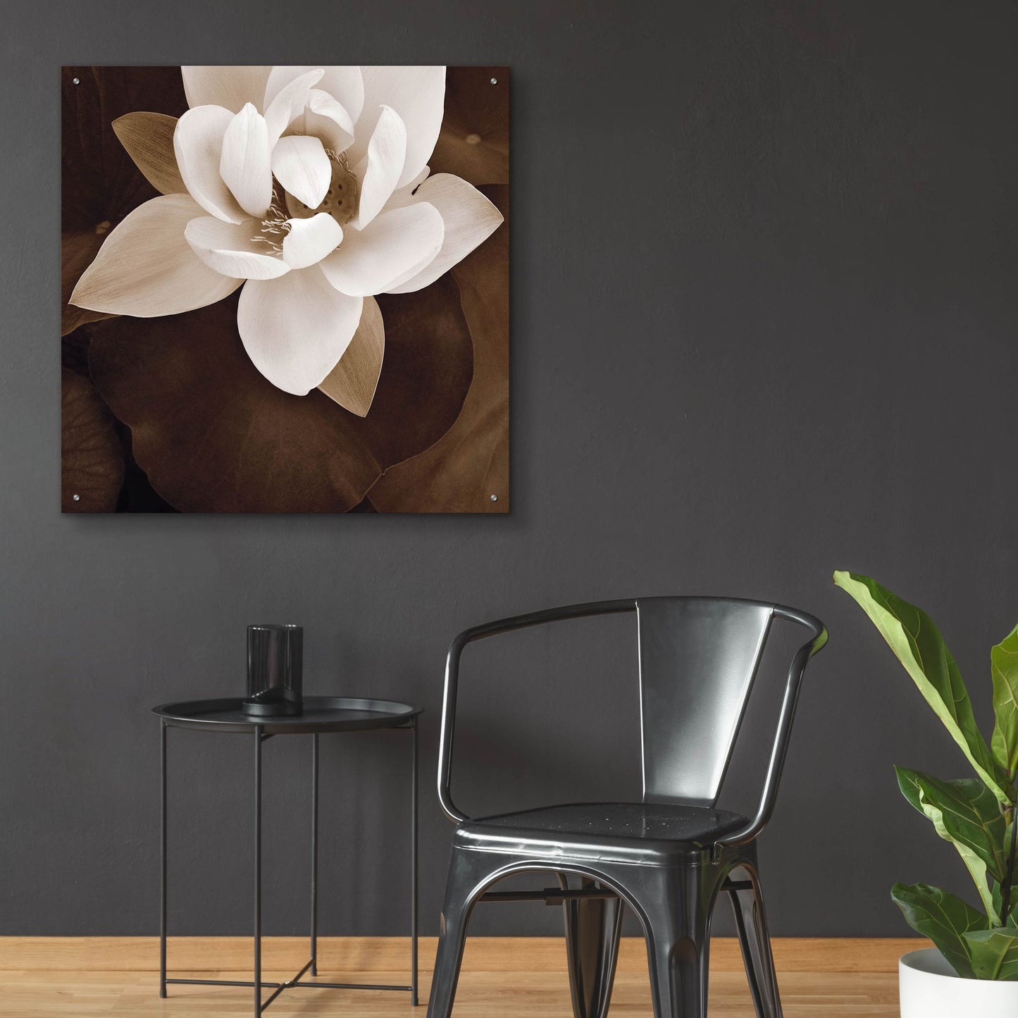 Epic Art ' Amazon Lotus' by Rebecca Swanson, Acrylic Glass Wall Art,36x36