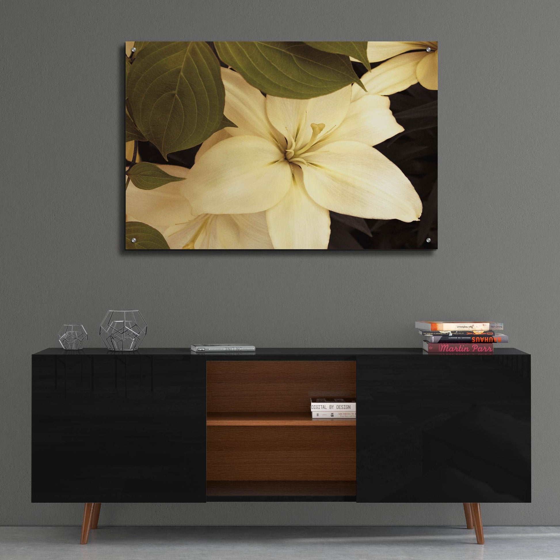 Epic Art ' Lily and Leaves' by Rebecca Swanson, Acrylic Glass Wall Art,36x24