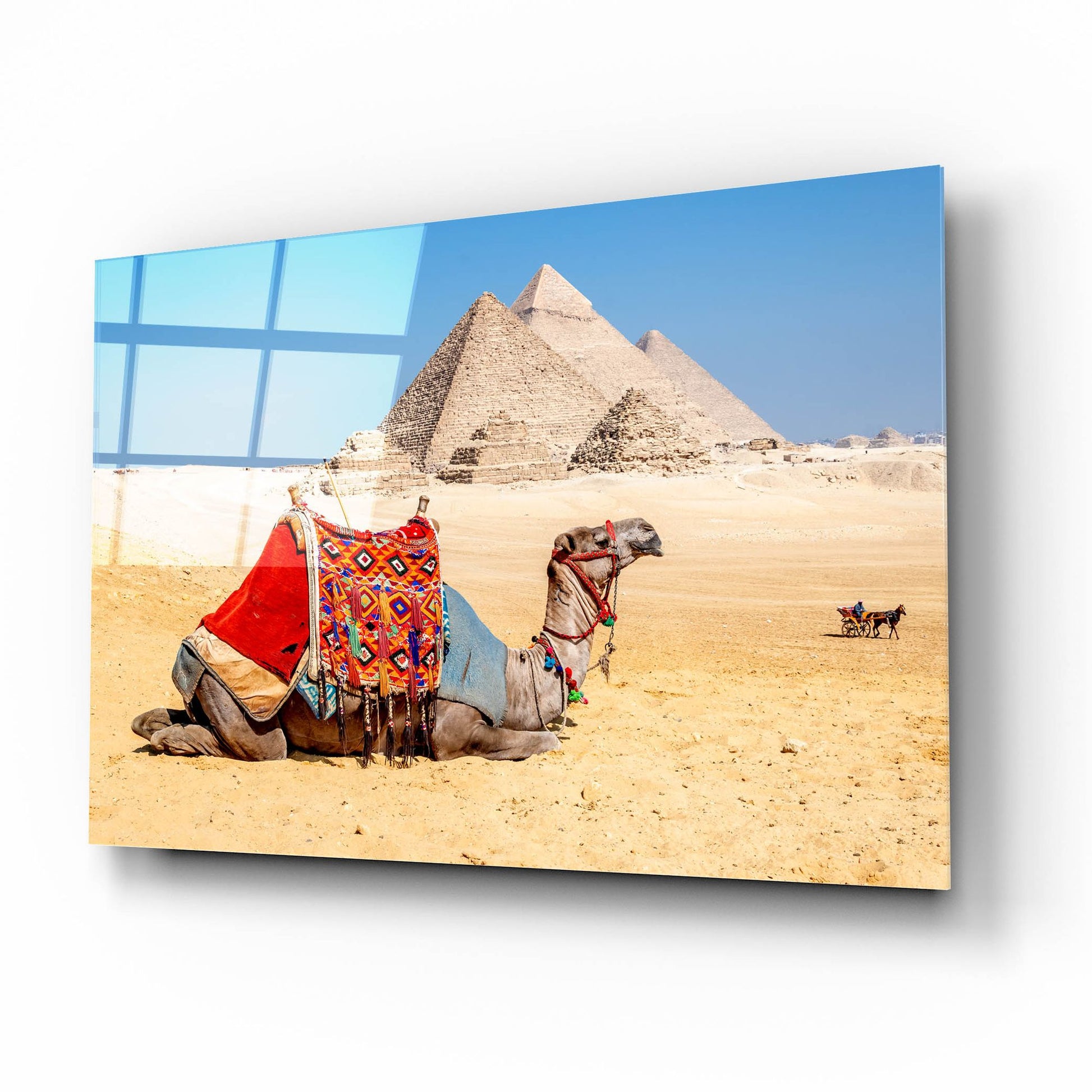 Epic Art ' Camel Resting by the Pyramids, Giza, Egypt' by Richard Silver, Acrylic Glass Wall Art,16x12