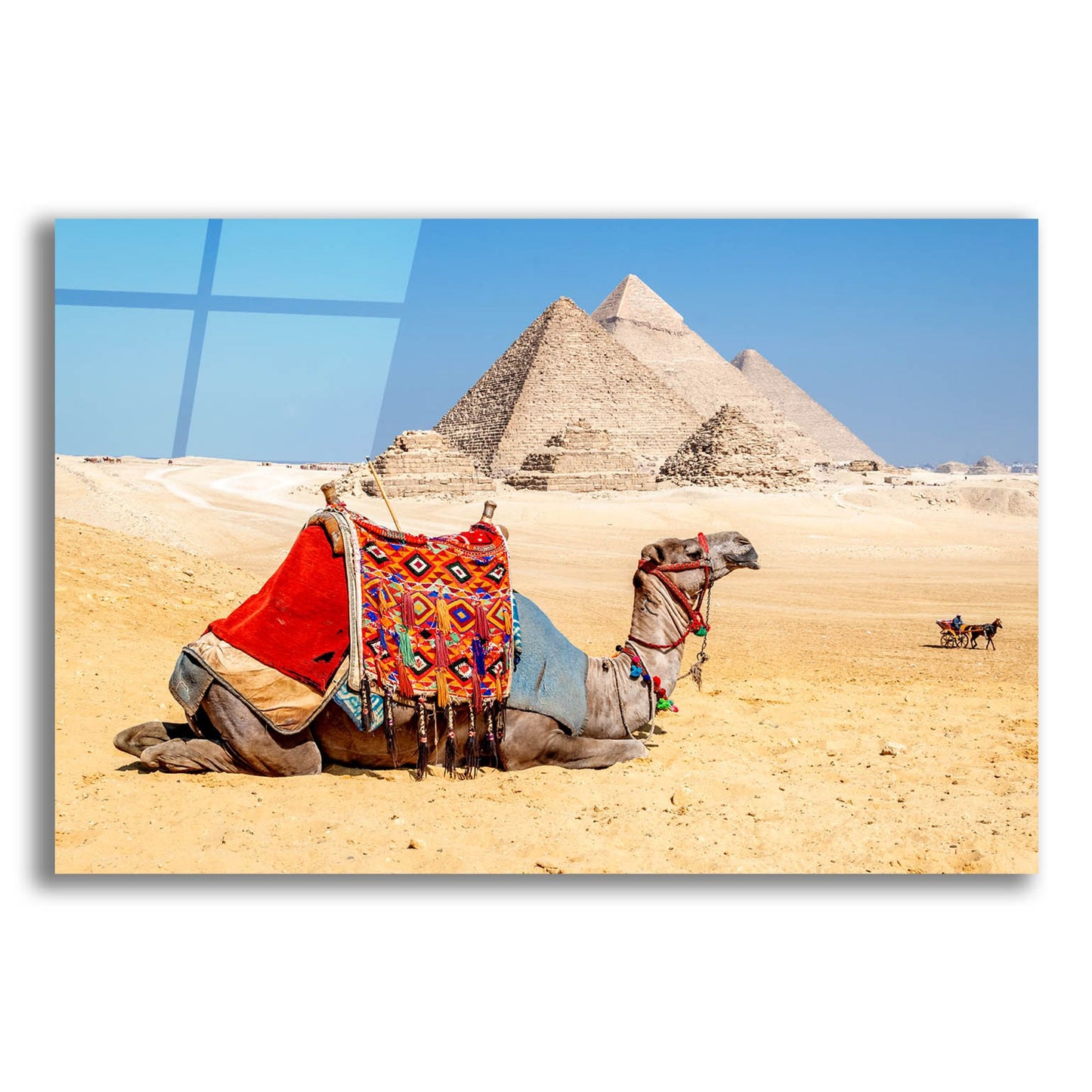 Epic Art ' Camel Resting by the Pyramids, Giza, Egypt' by Richard Silver, Acrylic Glass Wall Art,24x16