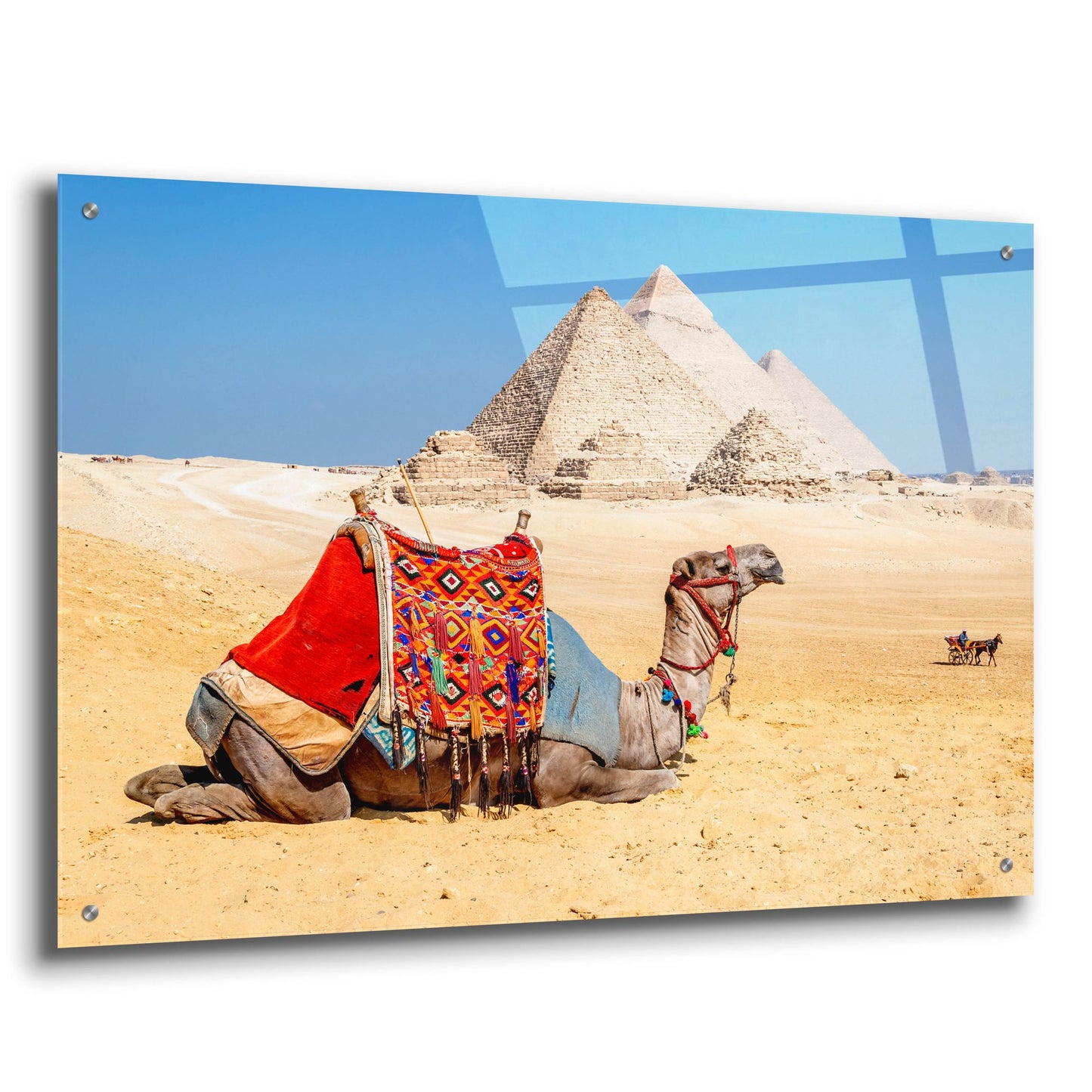 Epic Art ' Camel Resting by the Pyramids, Giza, Egypt' by Richard Silver, Acrylic Glass Wall Art,36x24