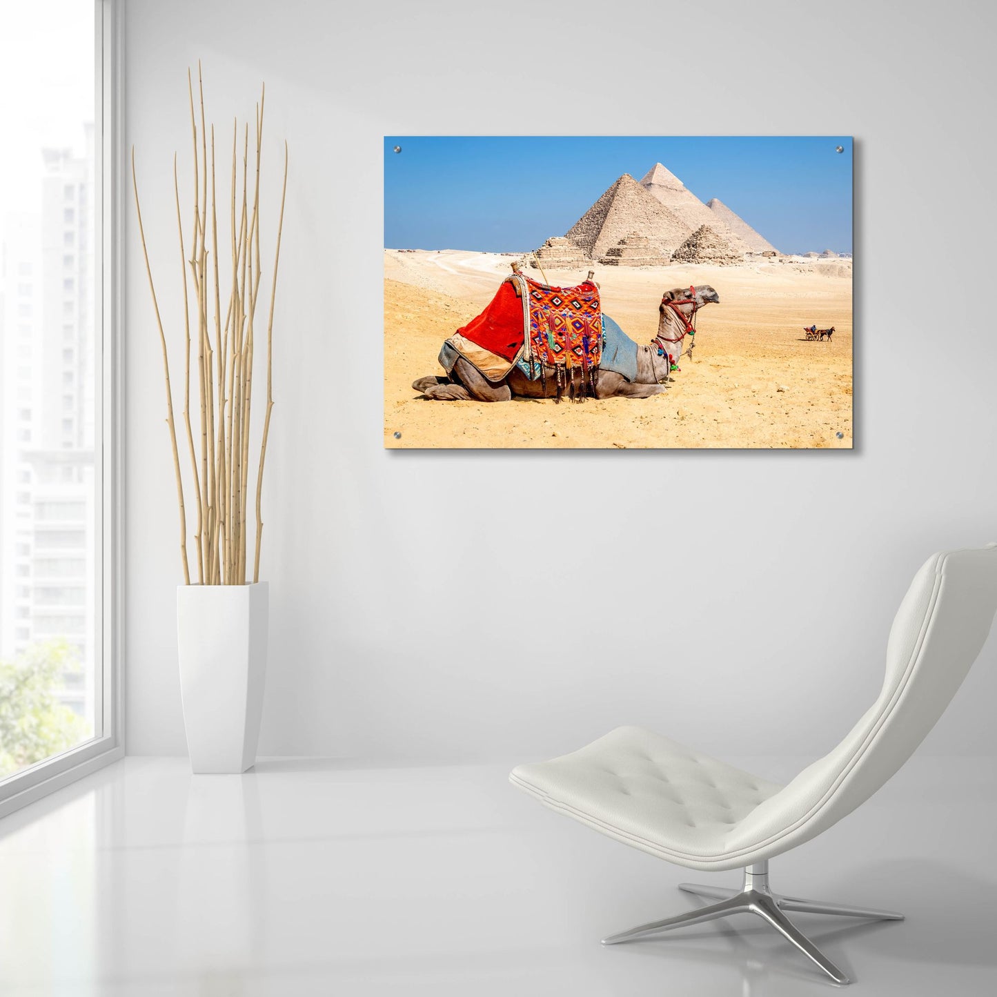 Epic Art ' Camel Resting by the Pyramids, Giza, Egypt' by Richard Silver, Acrylic Glass Wall Art,36x24