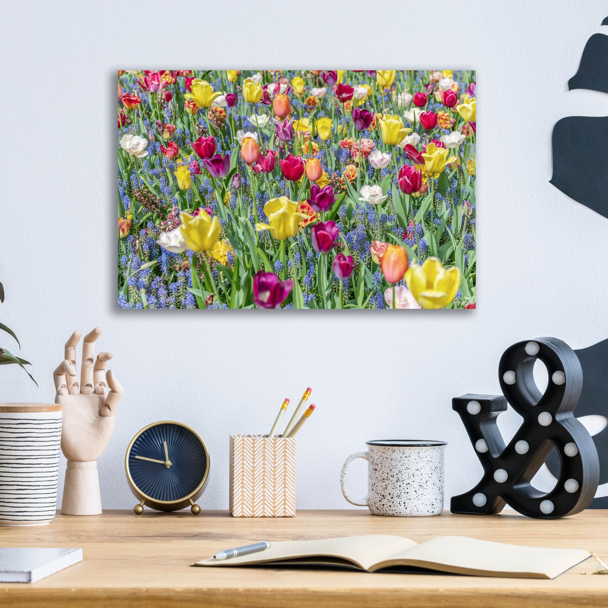 Epic Art ' Kuekenhof Tulips I' by Richard Silver, Acrylic Glass Wall Art,16x12