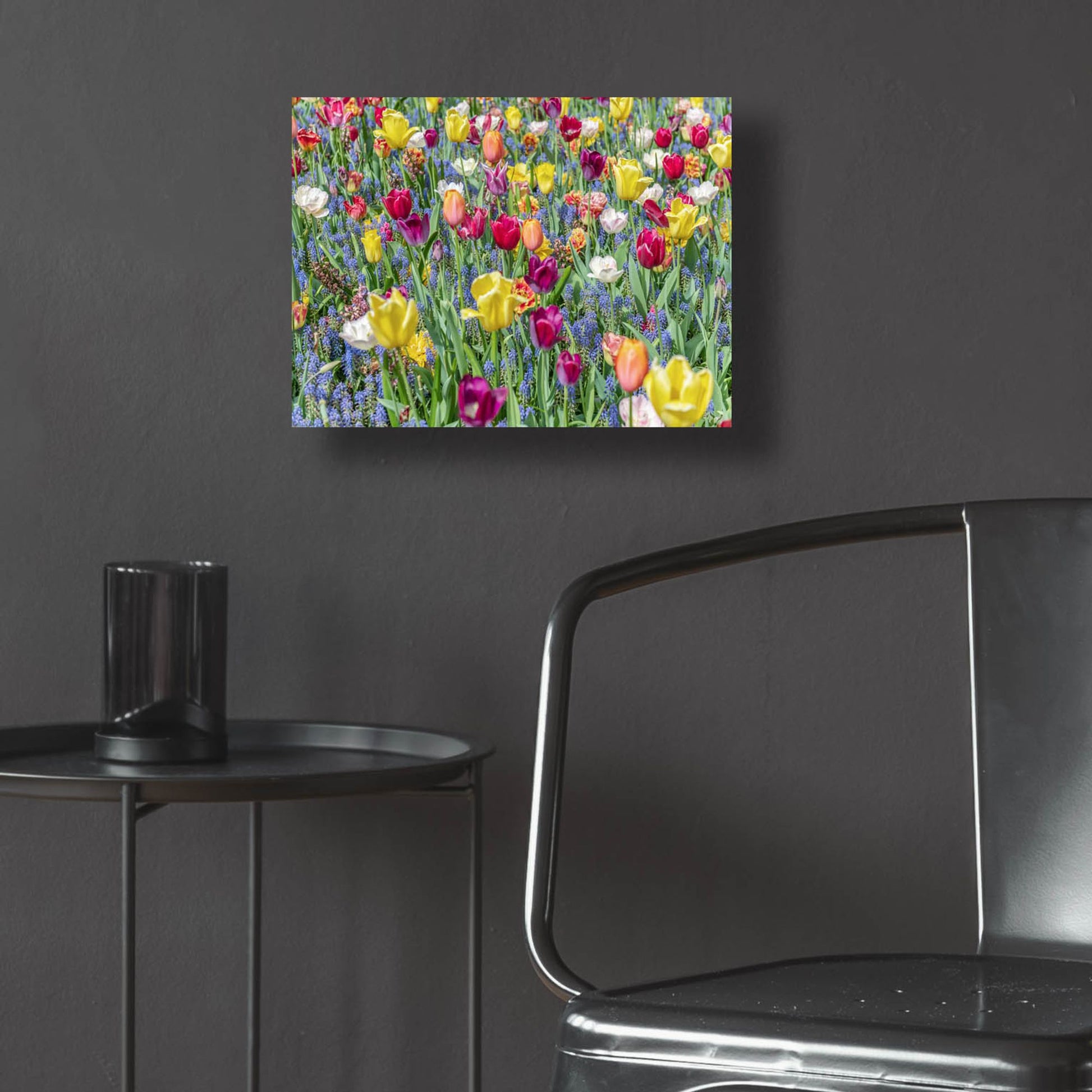 Epic Art ' Kuekenhof Tulips I' by Richard Silver, Acrylic Glass Wall Art,16x12