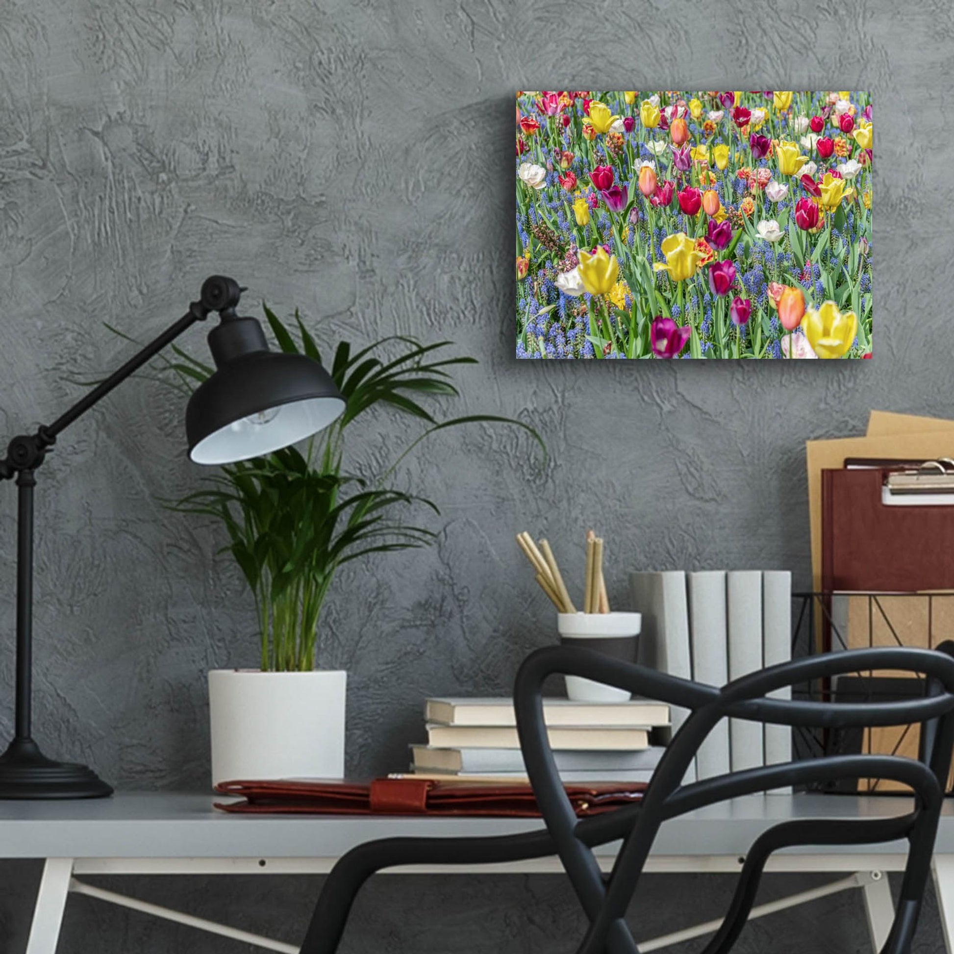 Epic Art ' Kuekenhof Tulips I' by Richard Silver, Acrylic Glass Wall Art,16x12