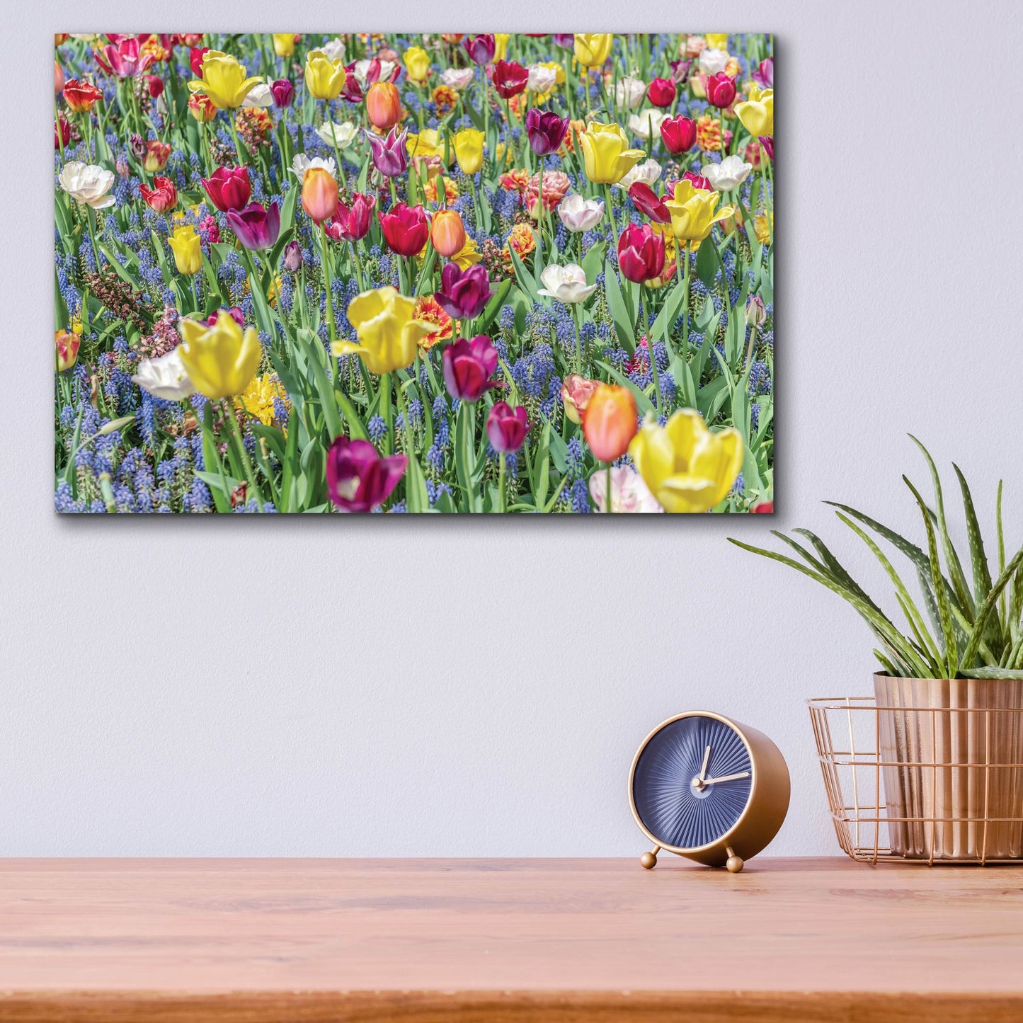 Epic Art ' Kuekenhof Tulips I' by Richard Silver, Acrylic Glass Wall Art,16x12