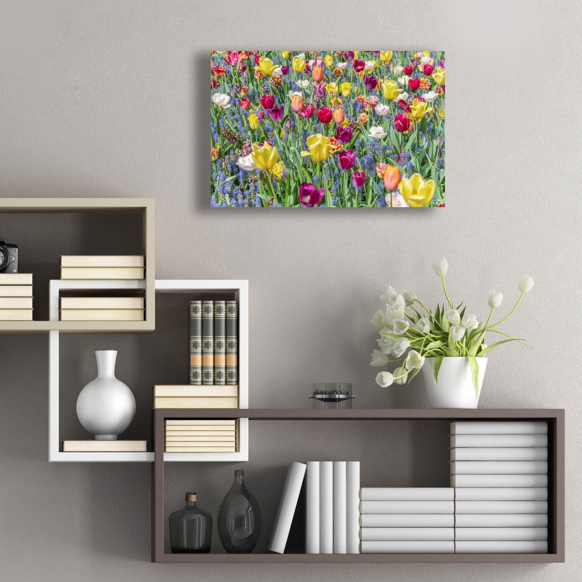 Epic Art ' Kuekenhof Tulips I' by Richard Silver, Acrylic Glass Wall Art,24x16