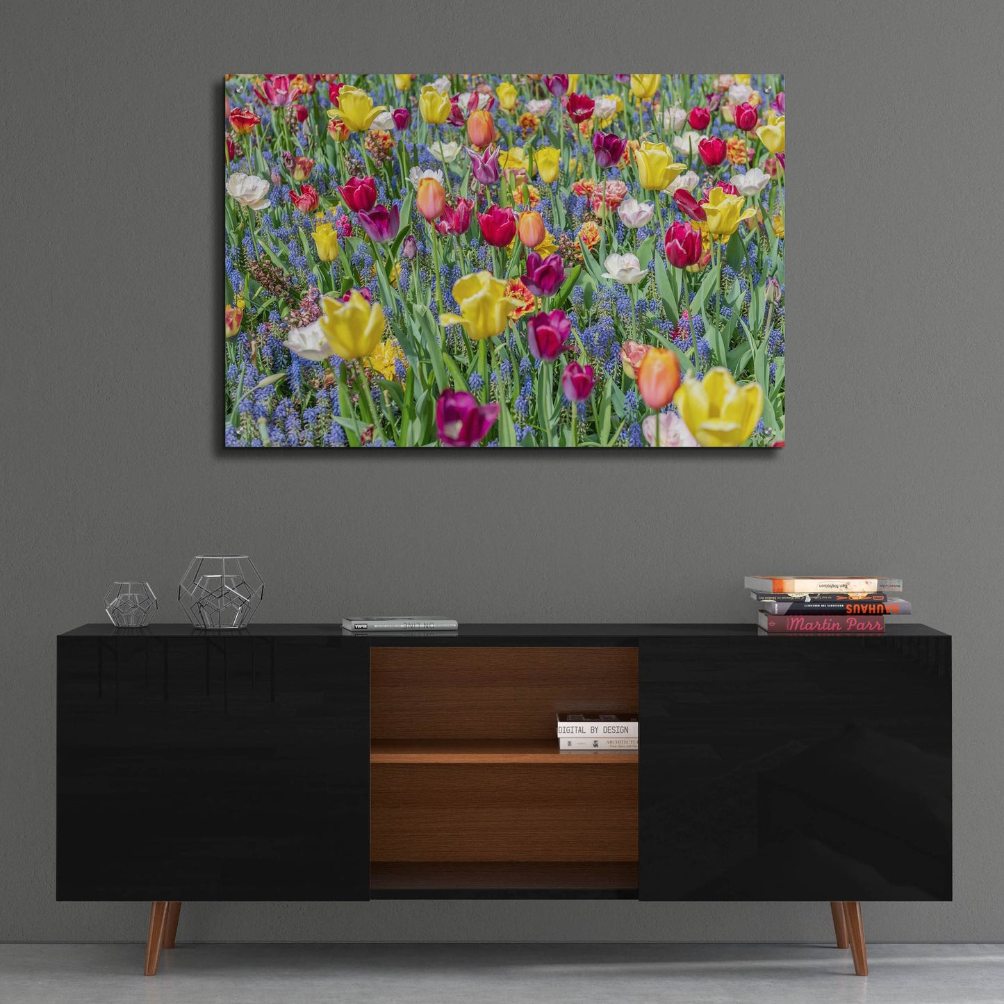 Epic Art ' Kuekenhof Tulips I' by Richard Silver, Acrylic Glass Wall Art,36x24