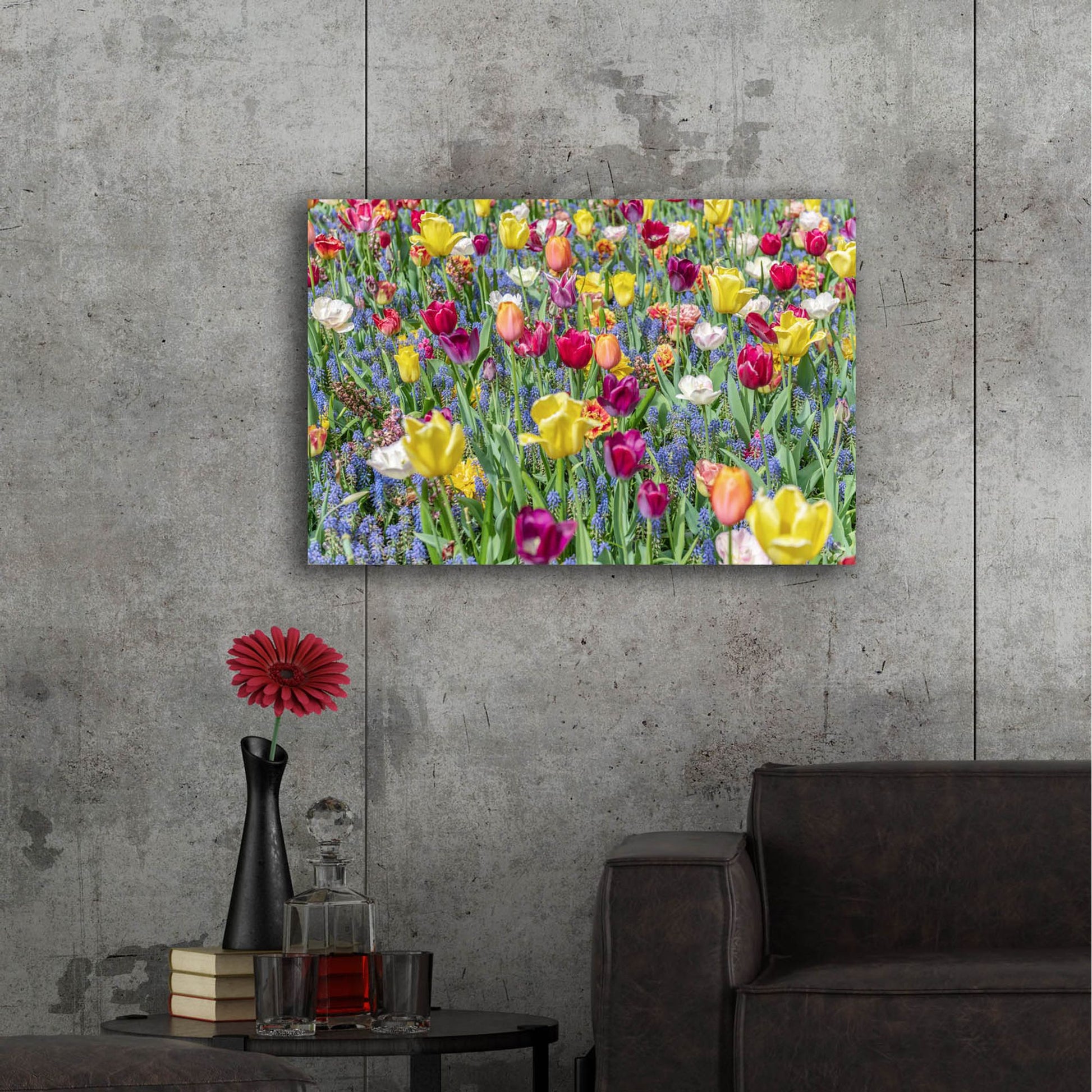 Epic Art ' Kuekenhof Tulips I' by Richard Silver, Acrylic Glass Wall Art,36x24