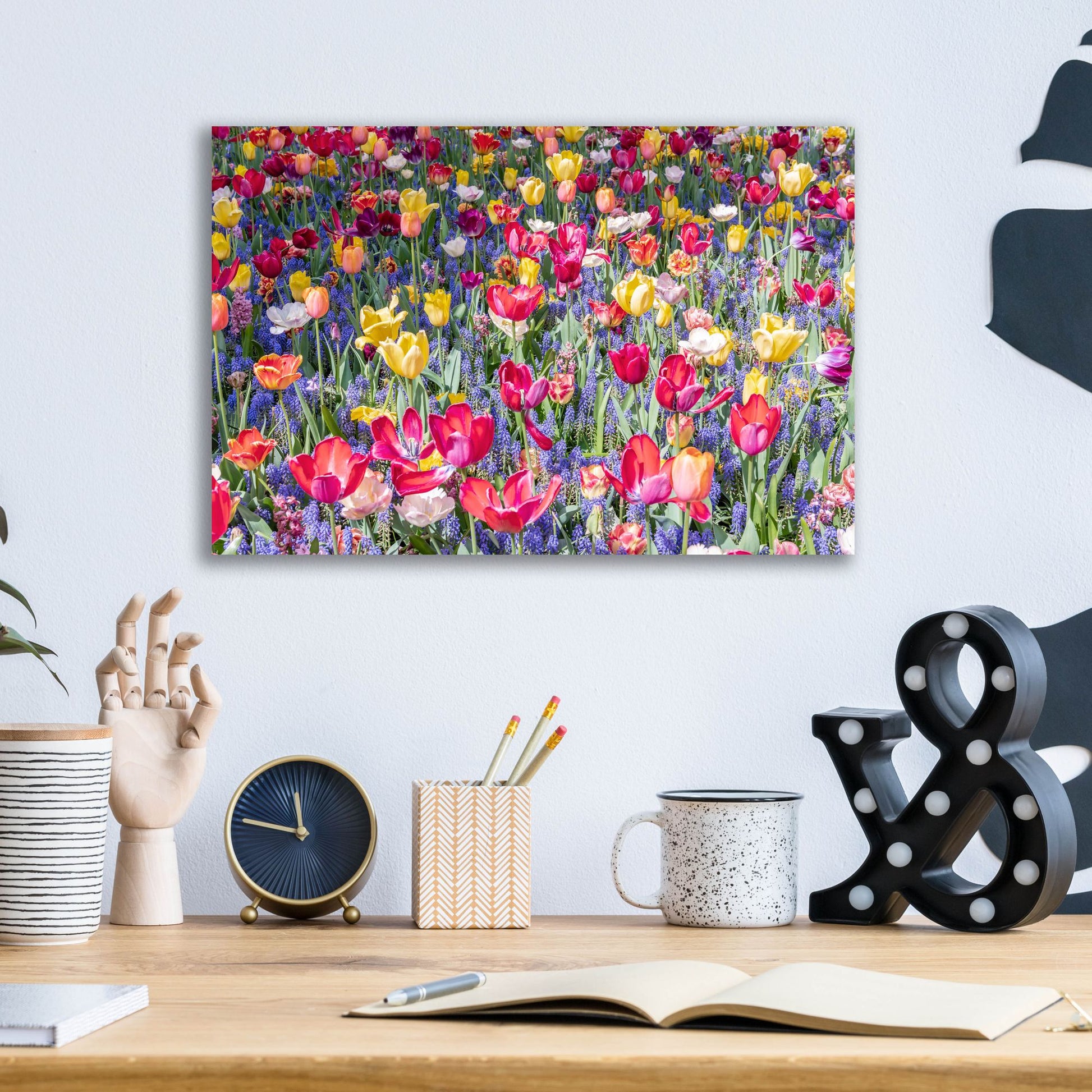 Epic Art ' Kuekenhof Tulips II' by Richard Silver, Acrylic Glass Wall Art,16x12