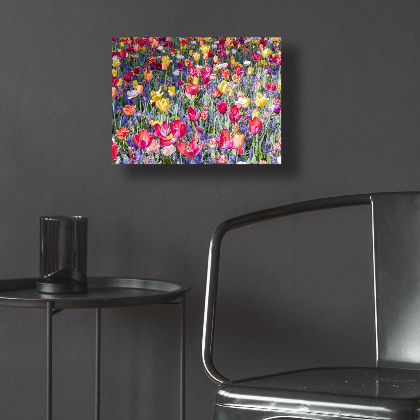 Epic Art ' Kuekenhof Tulips II' by Richard Silver, Acrylic Glass Wall Art,16x12