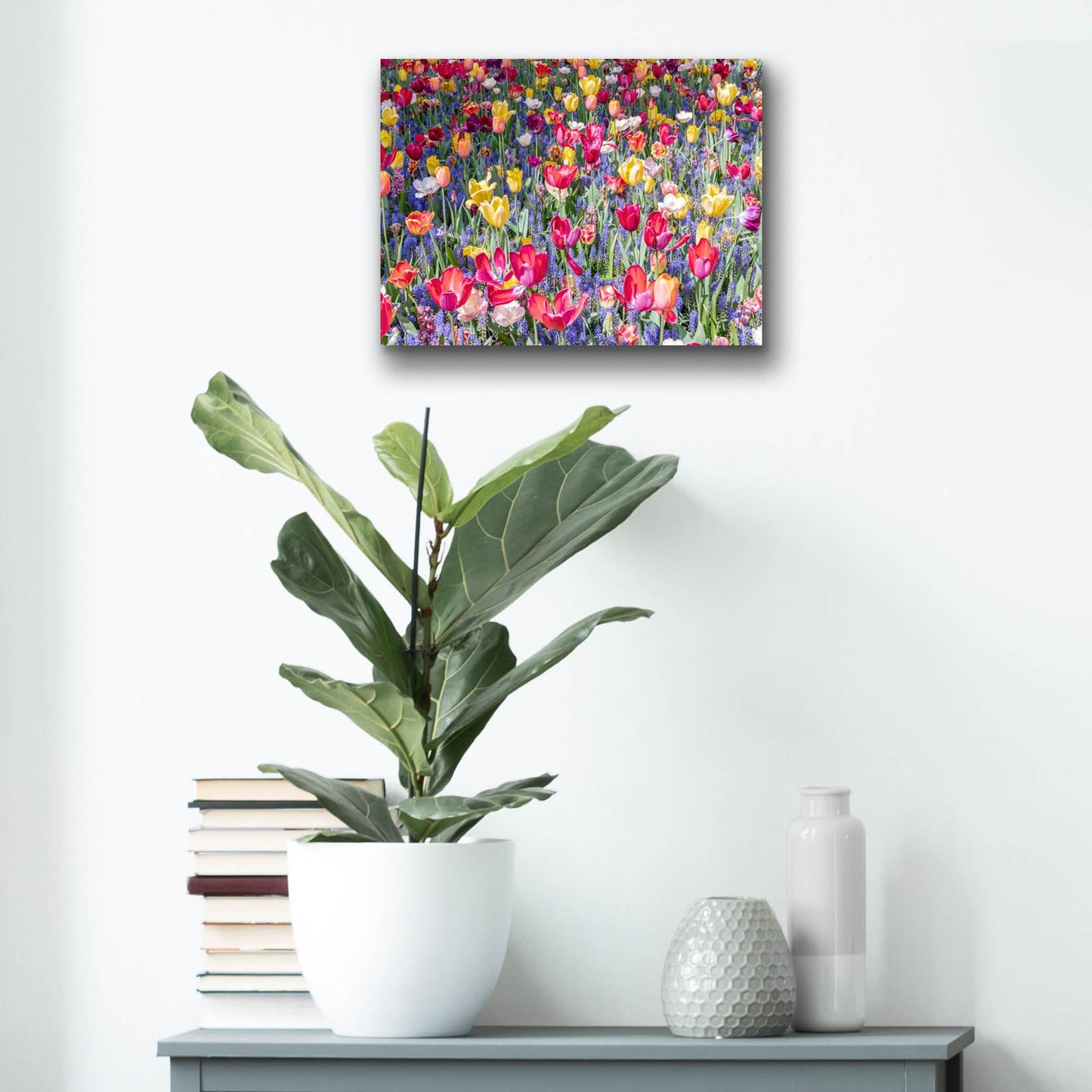 Epic Art ' Kuekenhof Tulips II' by Richard Silver, Acrylic Glass Wall Art,16x12