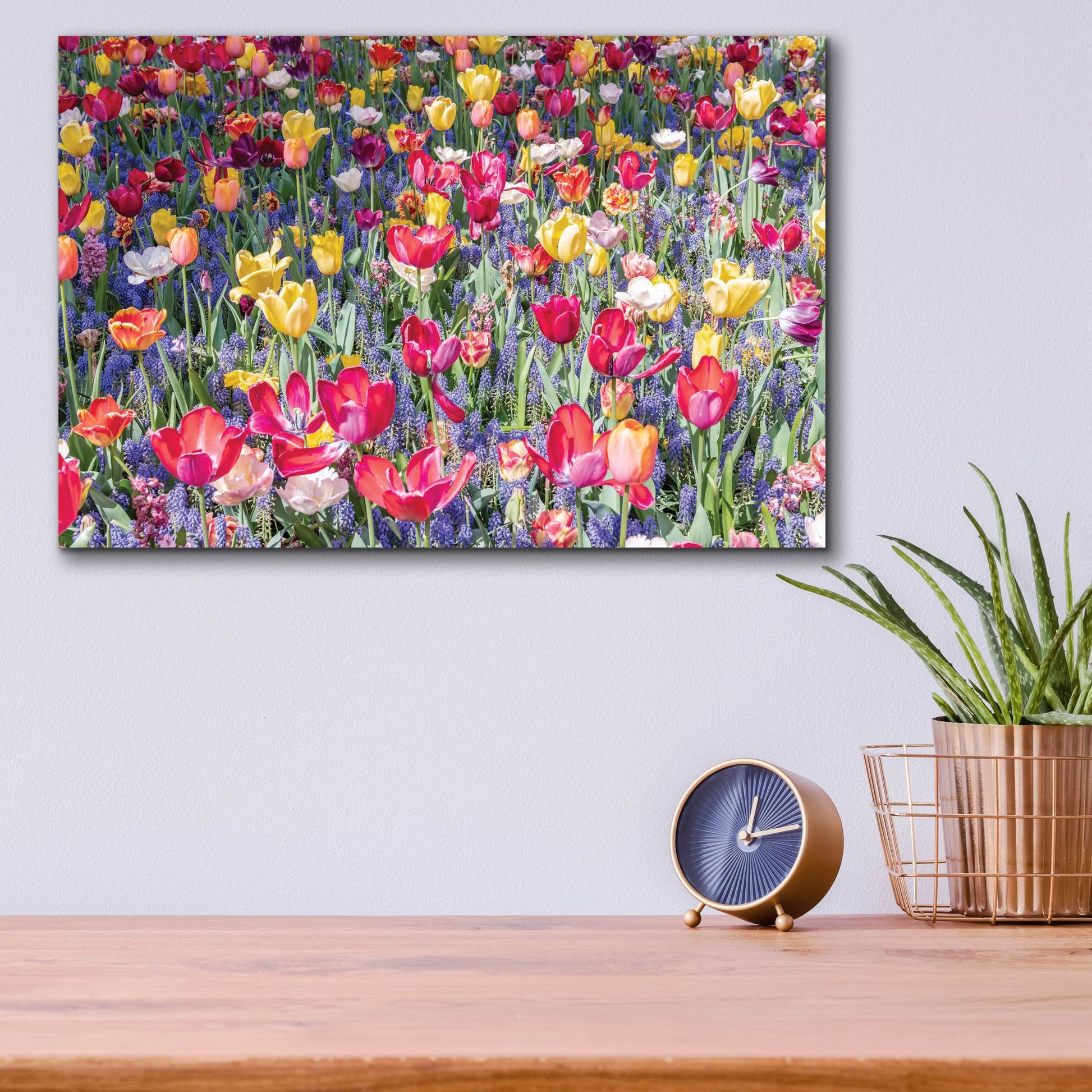 Epic Art ' Kuekenhof Tulips II' by Richard Silver, Acrylic Glass Wall Art,16x12