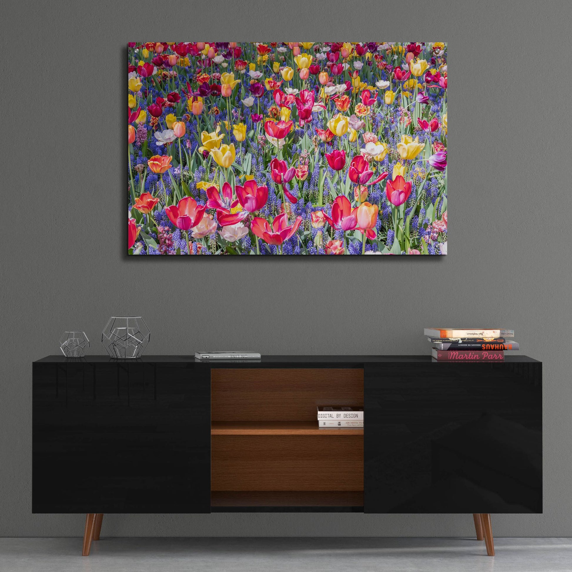 Epic Art ' Kuekenhof Tulips II' by Richard Silver, Acrylic Glass Wall Art,36x24