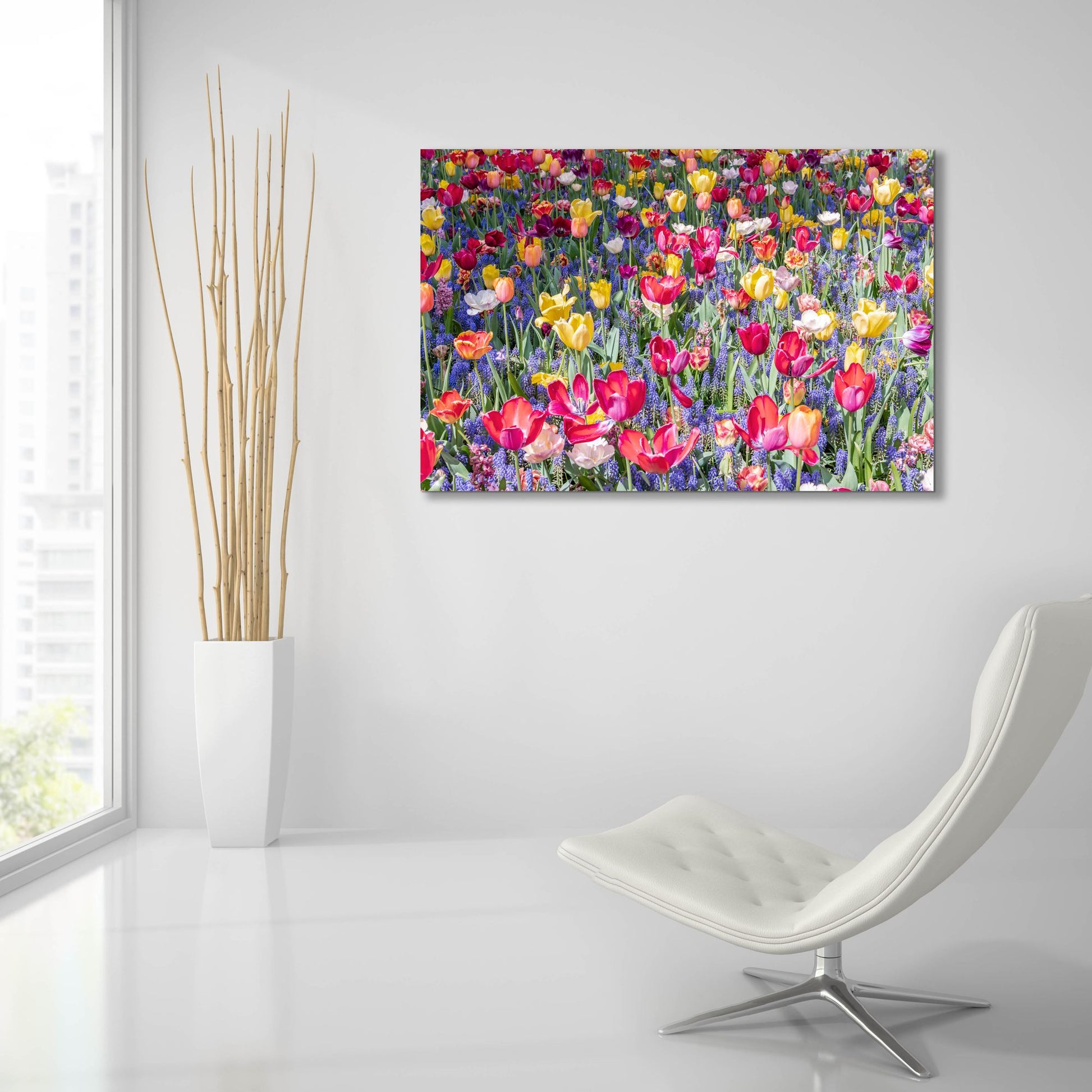 Epic Art ' Kuekenhof Tulips II' by Richard Silver, Acrylic Glass Wall Art,36x24