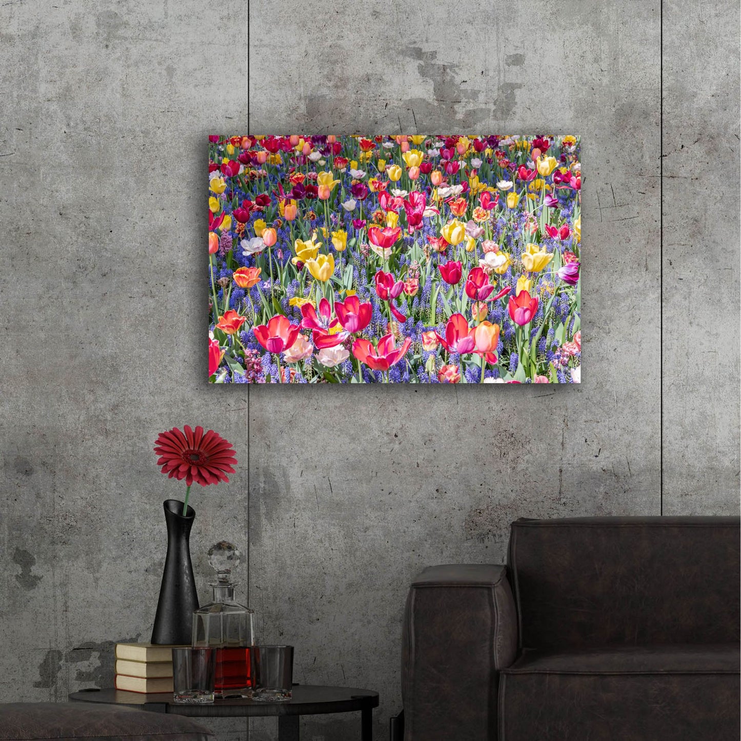 Epic Art ' Kuekenhof Tulips II' by Richard Silver, Acrylic Glass Wall Art,36x24