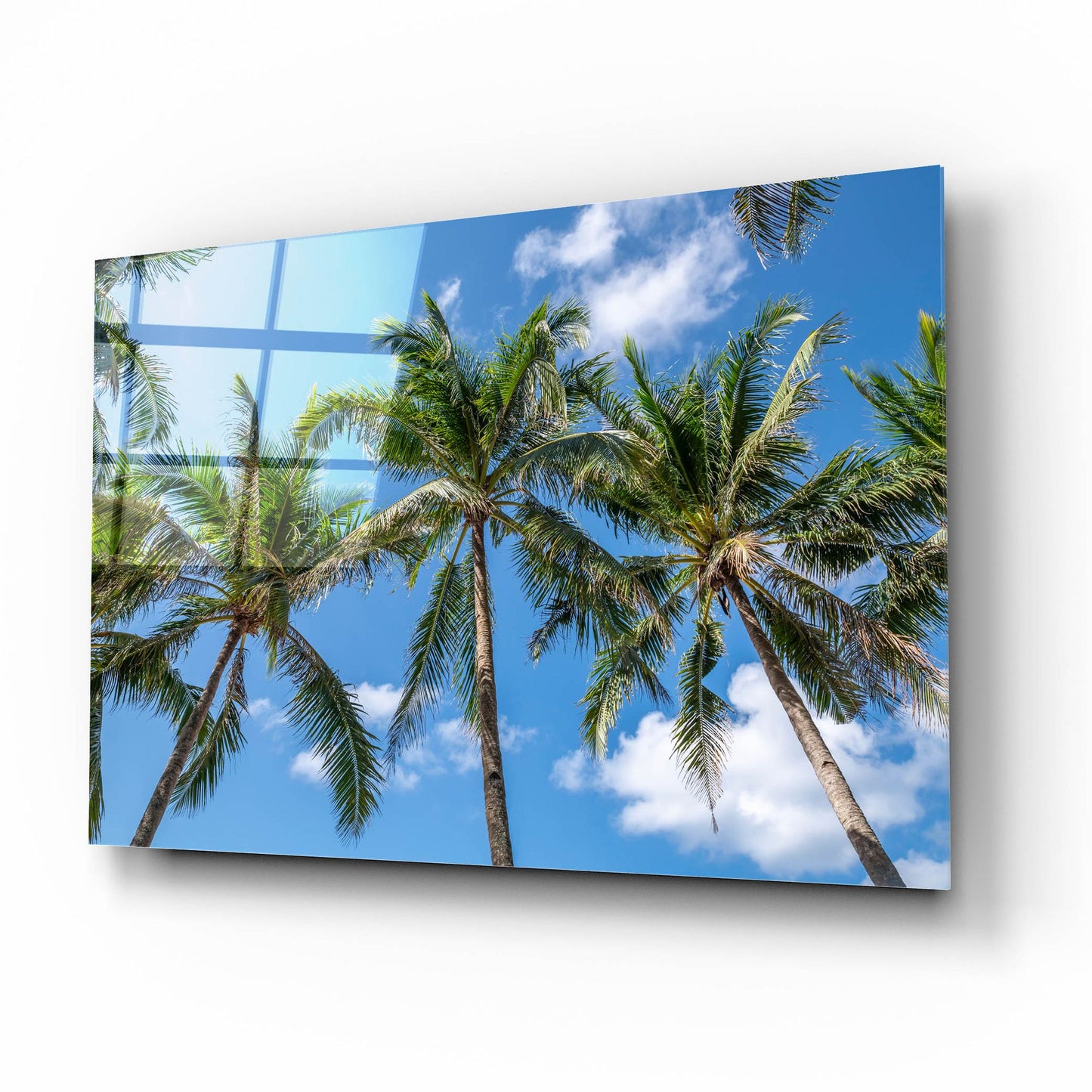 Epic Art ' Palawan Palm Trees I' by Richard Silver, Acrylic Glass Wall Art,16x12