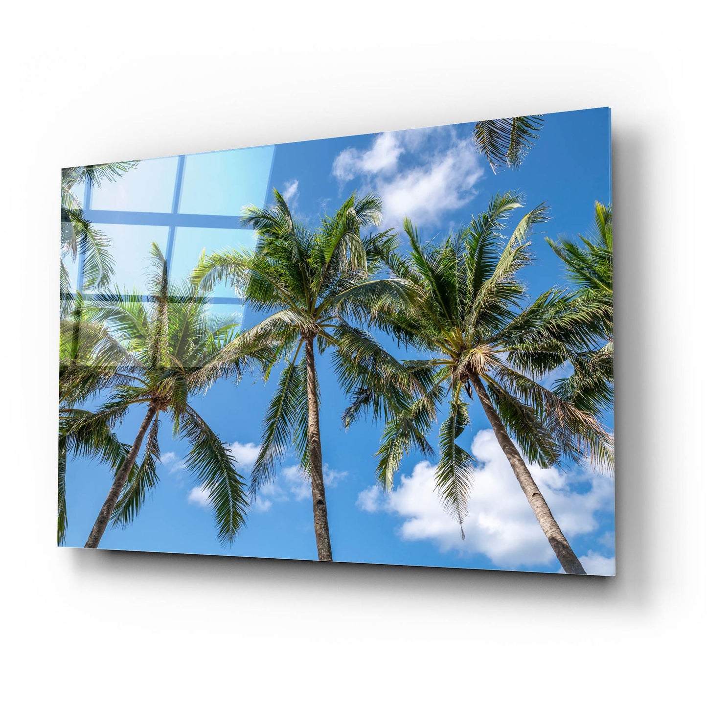 Epic Art ' Palawan Palm Trees I' by Richard Silver, Acrylic Glass Wall Art,24x16