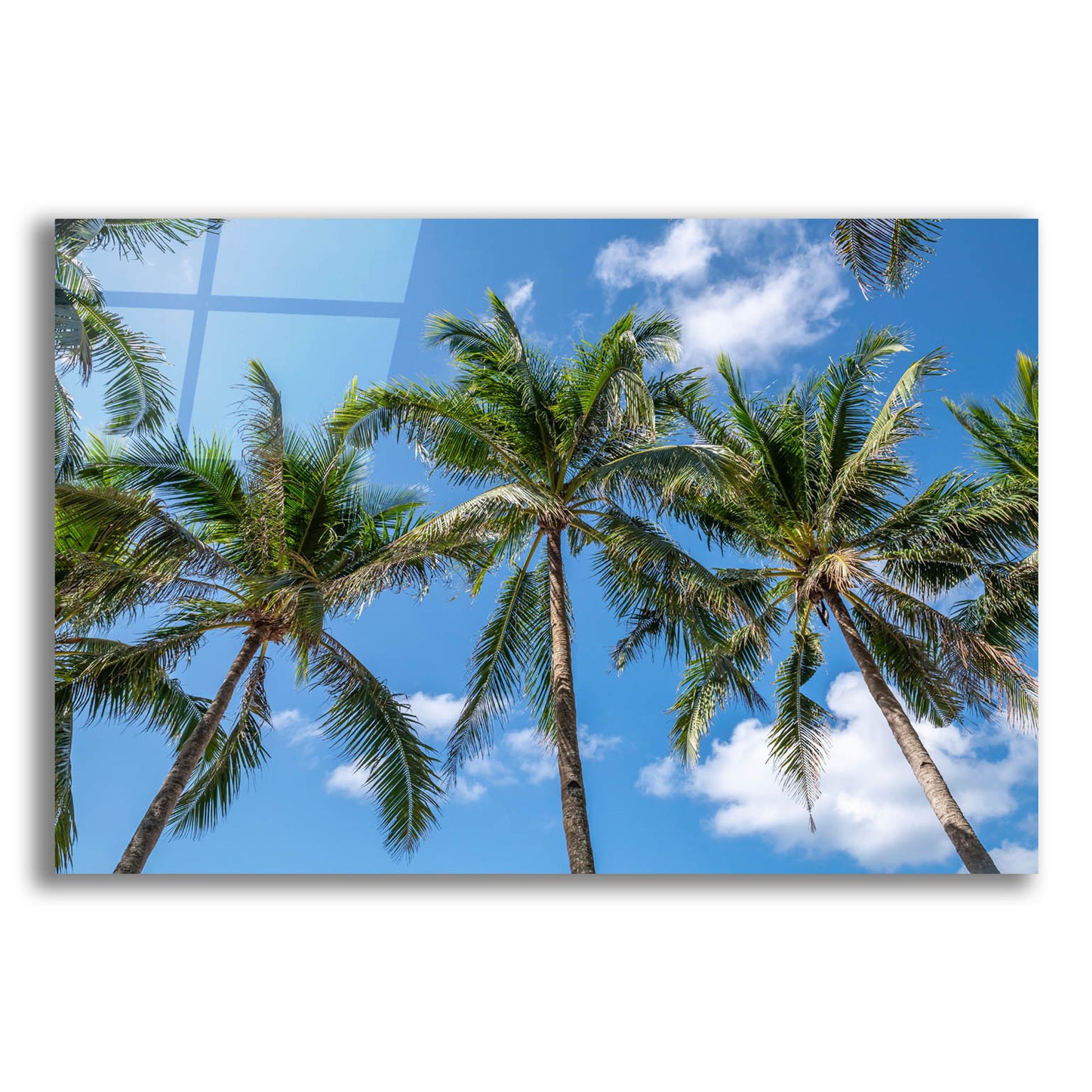 Epic Art ' Palawan Palm Trees I' by Richard Silver, Acrylic Glass Wall Art,24x16