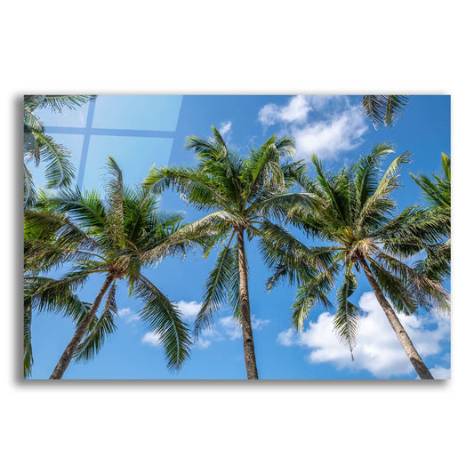 Epic Art ' Palawan Palm Trees I' by Richard Silver, Acrylic Glass Wall Art