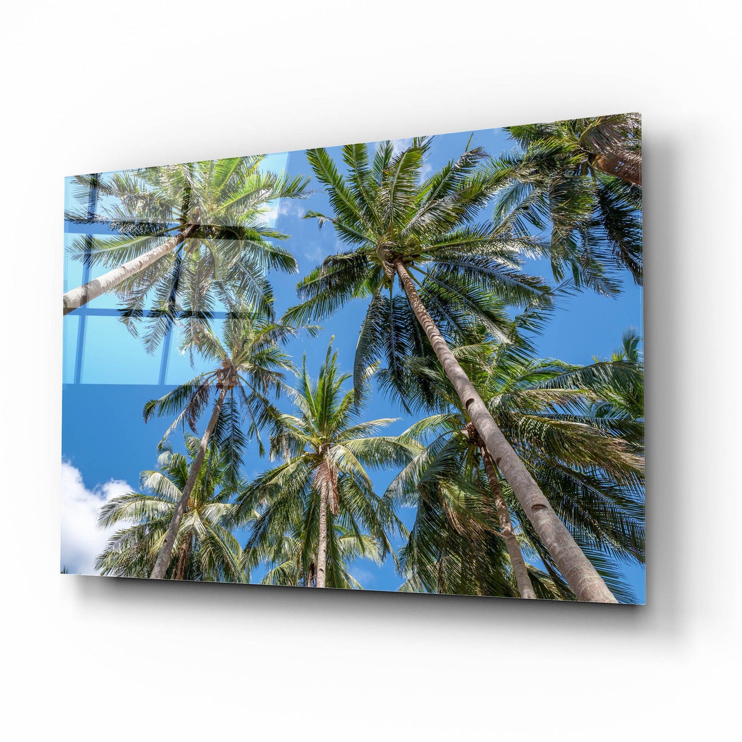 Epic Art ' Palawan Palm Trees II' by Richard Silver, Acrylic Glass Wall Art,16x12