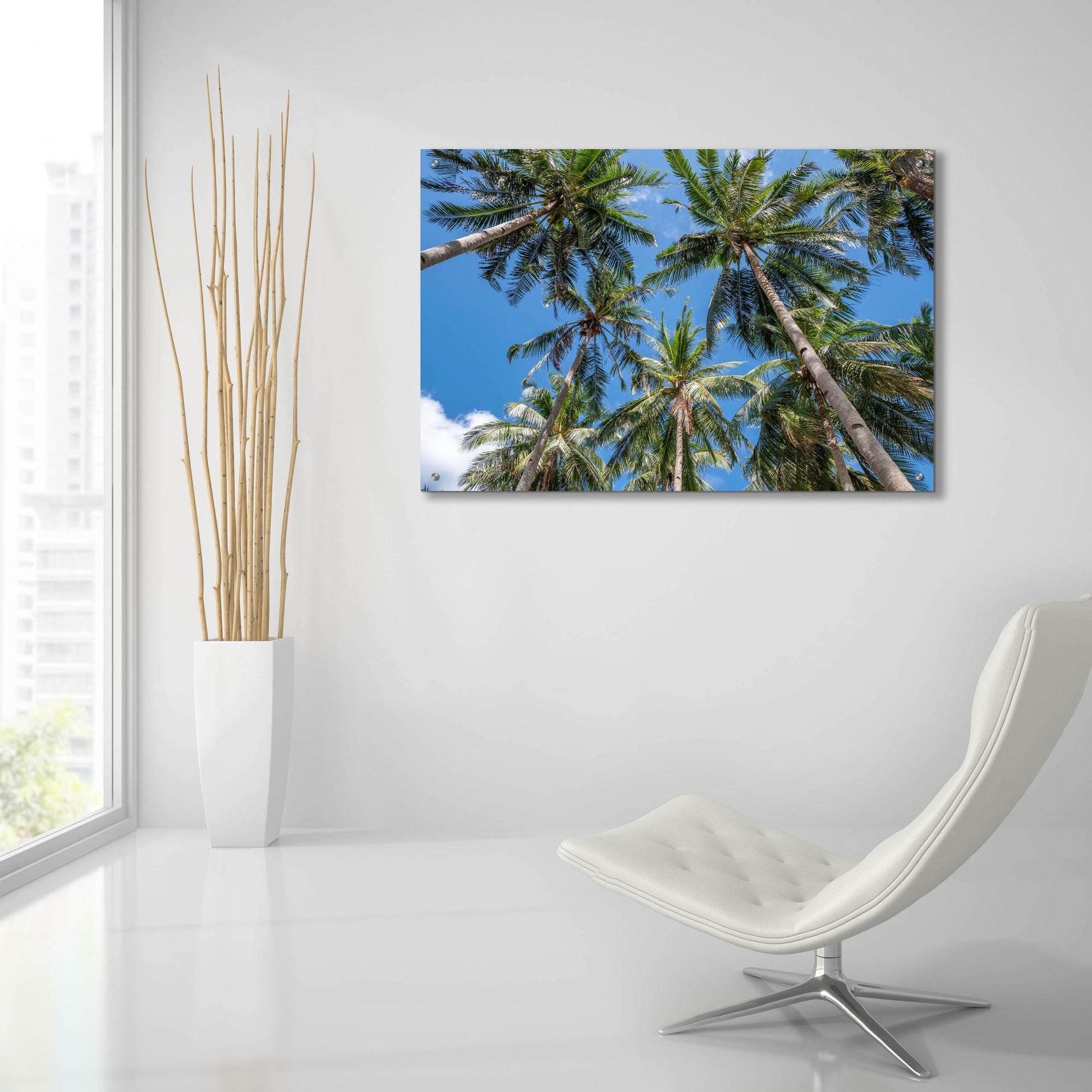 Epic Art ' Palawan Palm Trees II' by Richard Silver, Acrylic Glass Wall Art,36x24