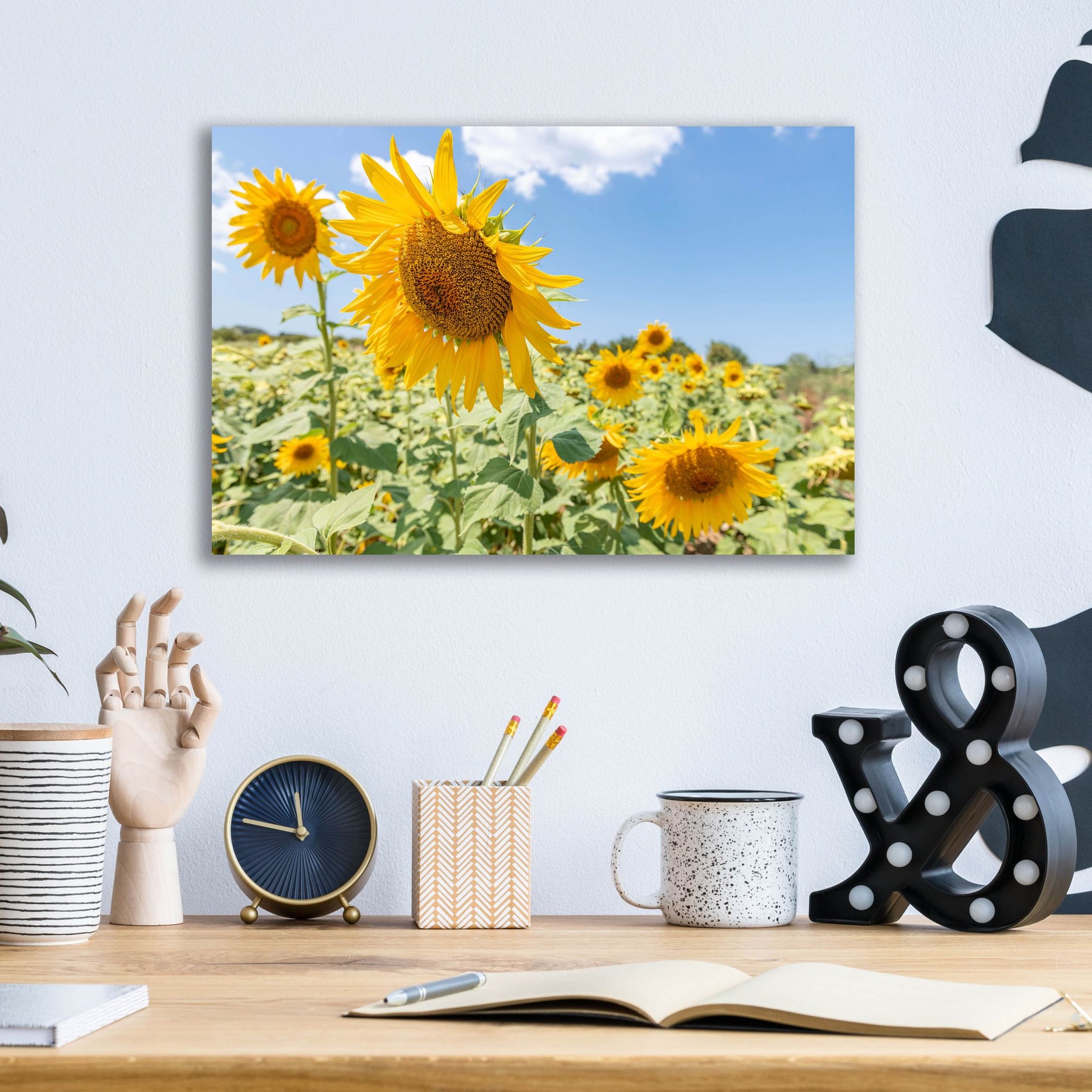 Epic Art ' Sunflowers I' by Richard Silver, Acrylic Glass Wall Art,16x12