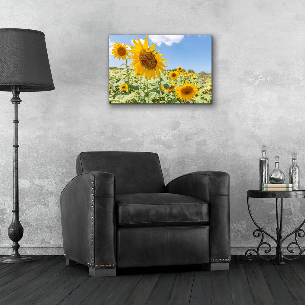 Epic Art ' Sunflowers I' by Richard Silver, Acrylic Glass Wall Art,24x16