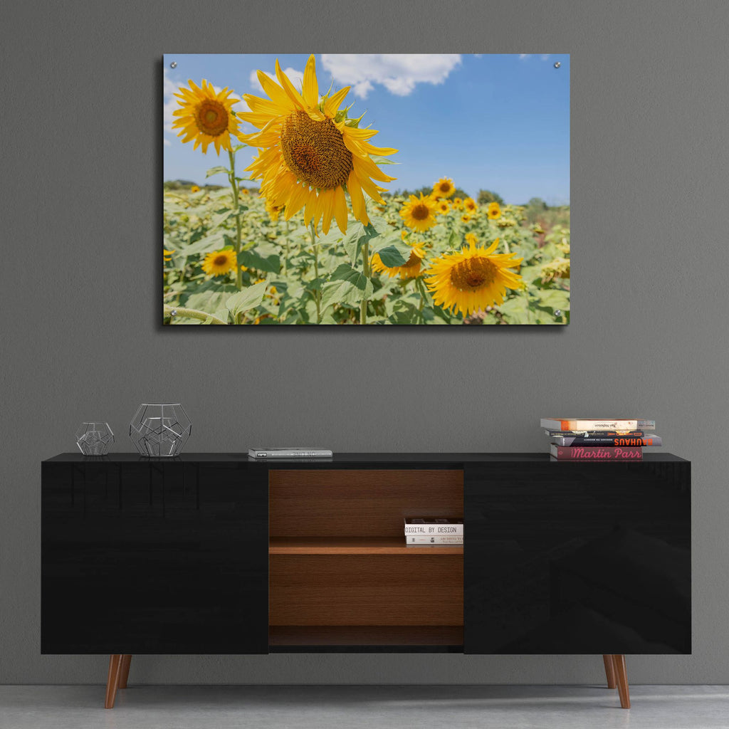 Epic Art ' Sunflowers I' by Richard Silver, Acrylic Glass Wall Art,36x24