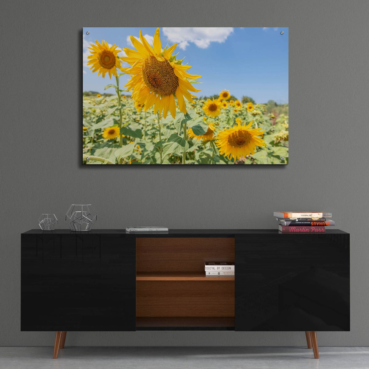 Epic Art ' Sunflowers I' by Richard Silver, Acrylic Glass Wall Art,36x24