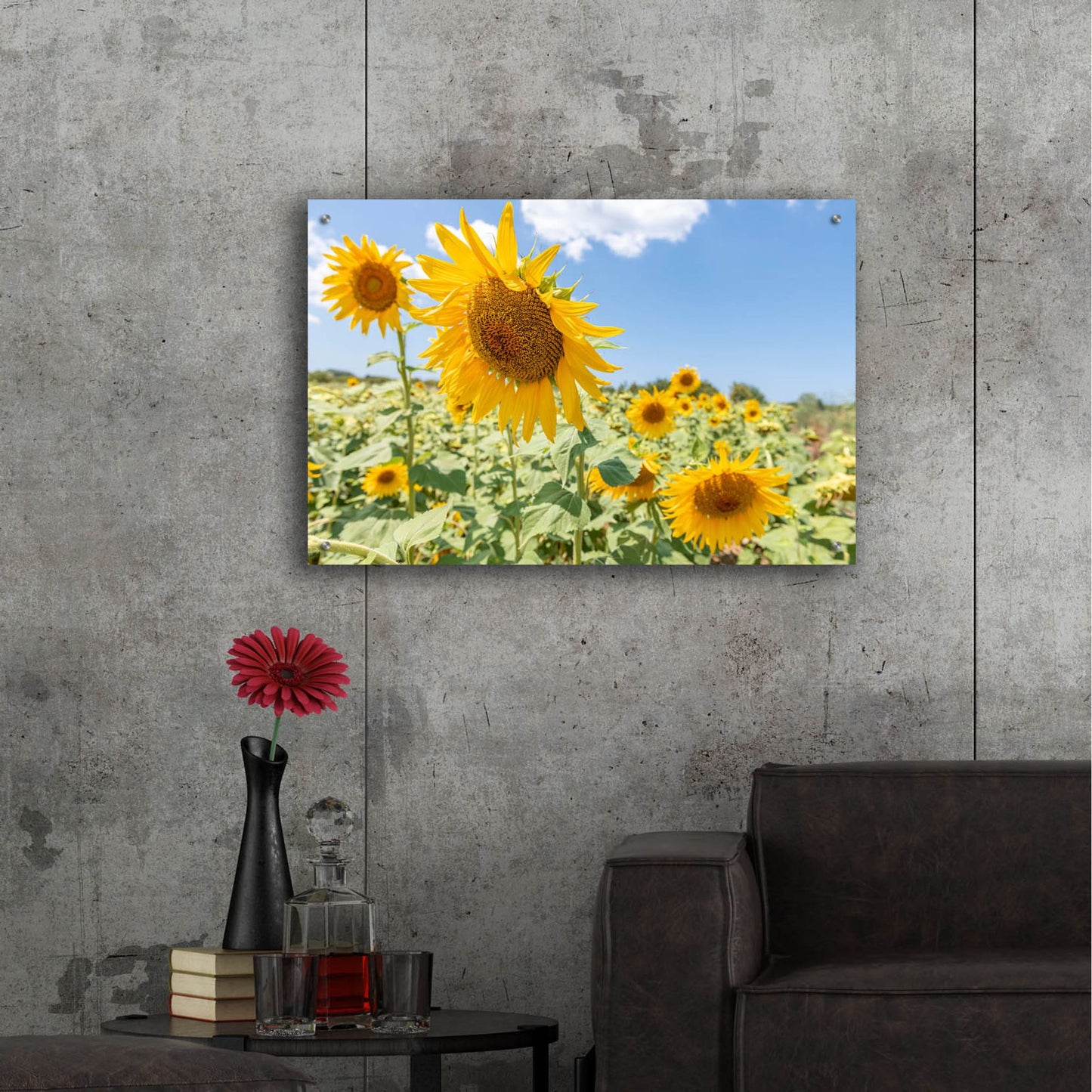 Epic Art ' Sunflowers I' by Richard Silver, Acrylic Glass Wall Art,36x24