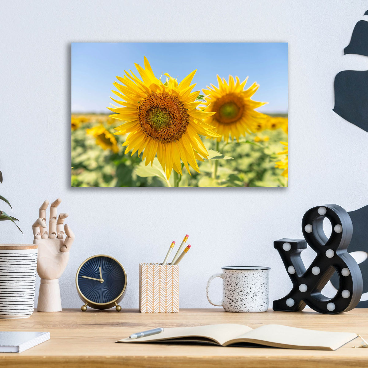 Epic Art ' Sunflowers II' by Richard Silver, Acrylic Glass Wall Art,16x12