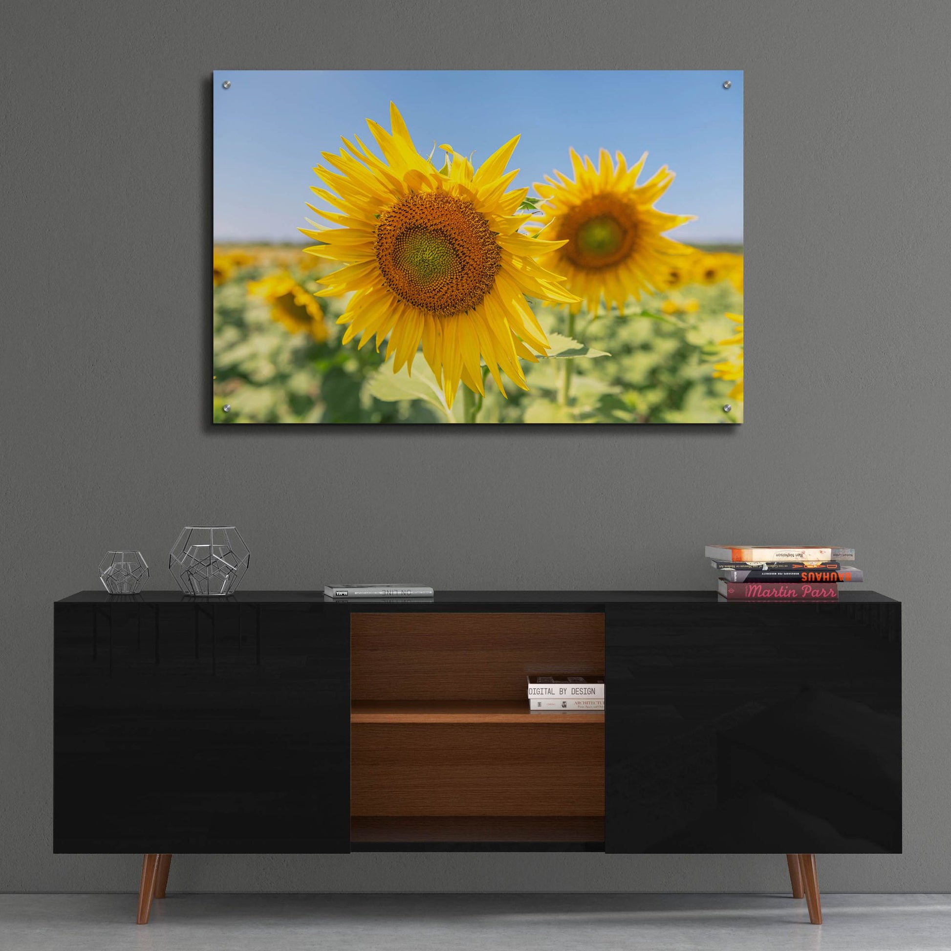 Epic Art ' Sunflowers II' by Richard Silver, Acrylic Glass Wall Art,36x24