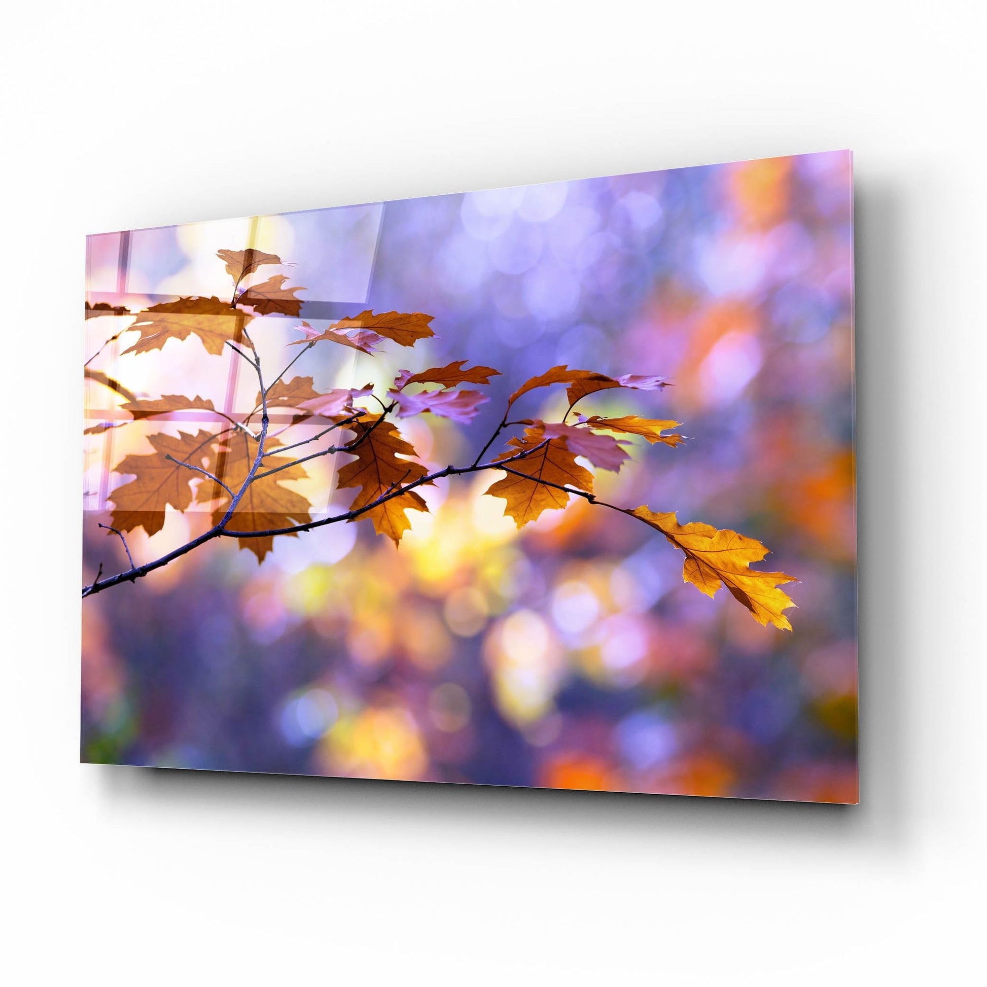 Epic Art ' United Colors of Autumn' by Roeselien Raimond, Acrylic Glass Wall Art,16x12