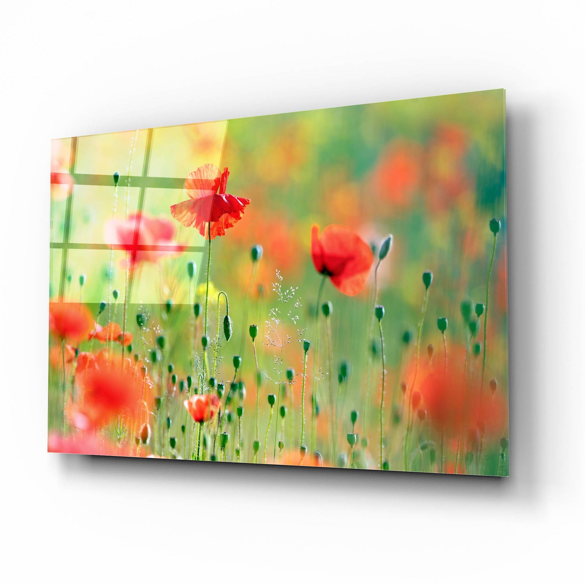 Epic Art ' United Colors of Summer' by Roeselien Raimond, Acrylic Glass Wall Art,16x12