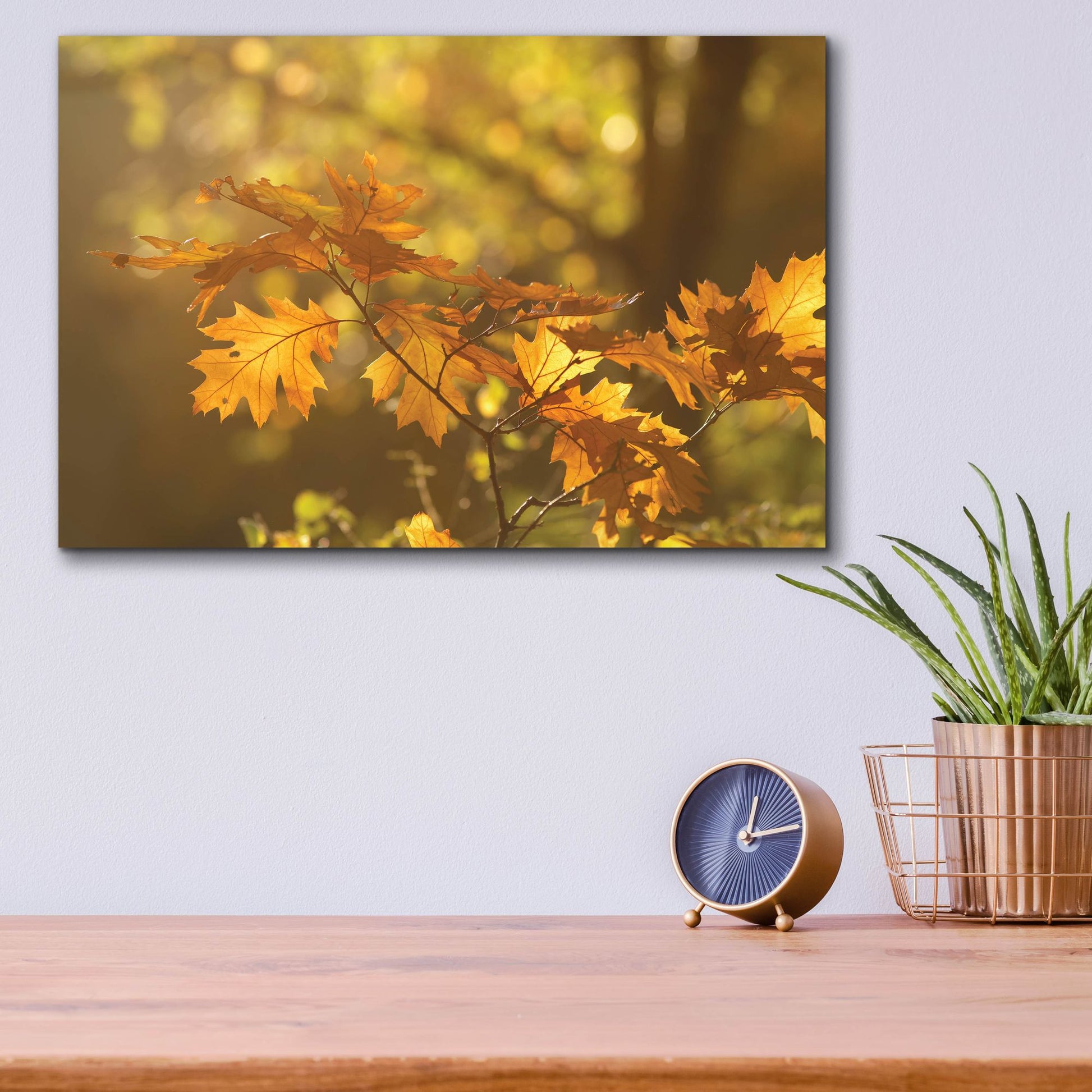 Epic Art ' Autumn Light' by Roeselien Raimond, Acrylic Glass Wall Art,16x12