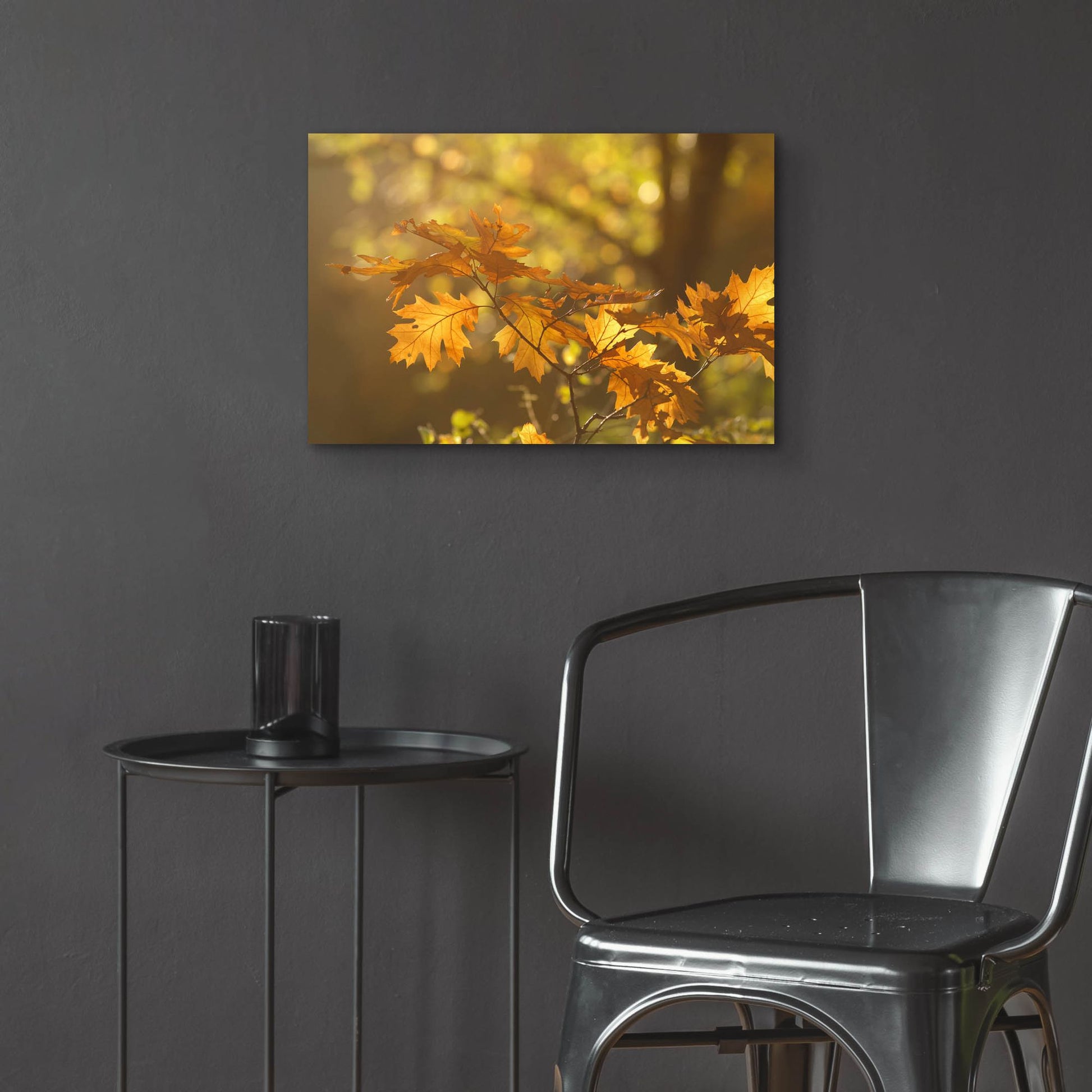 Epic Art ' Autumn Light' by Roeselien Raimond, Acrylic Glass Wall Art,24x16