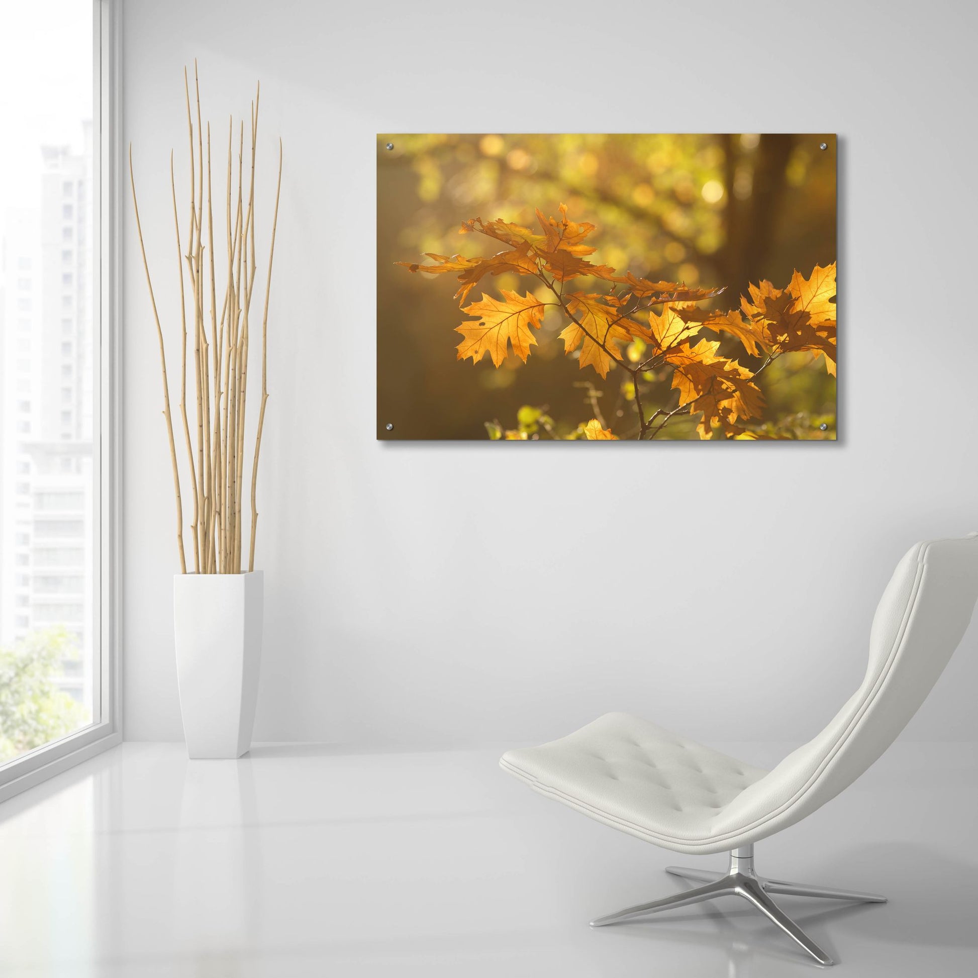 Epic Art ' Autumn Light' by Roeselien Raimond, Acrylic Glass Wall Art,36x24