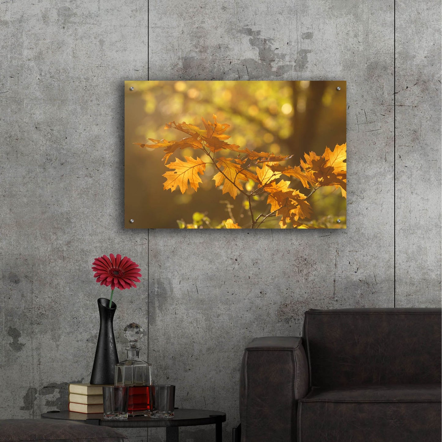 Epic Art ' Autumn Light' by Roeselien Raimond, Acrylic Glass Wall Art,36x24