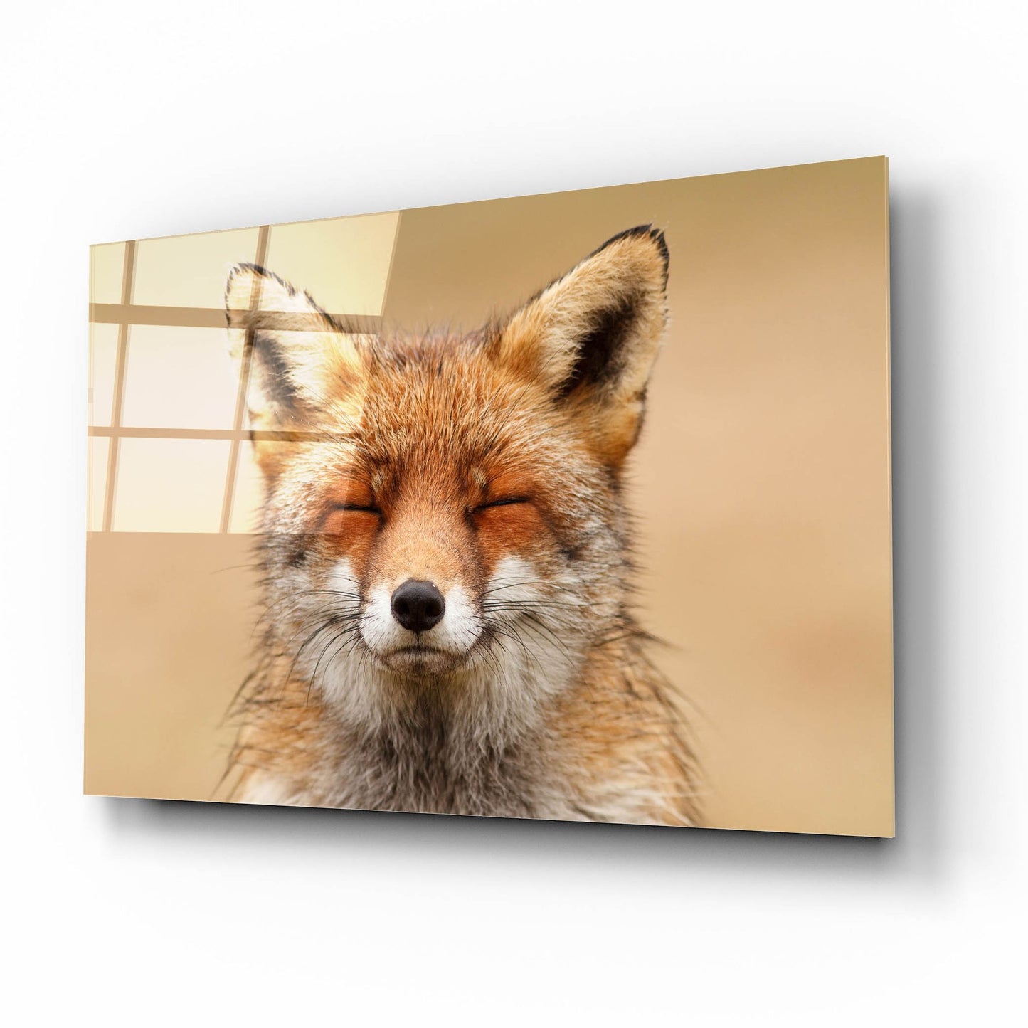 Epic Art ' Zen Fox Red Portrait' by Roeselien Raimond, Acrylic Glass Wall Art,16x12