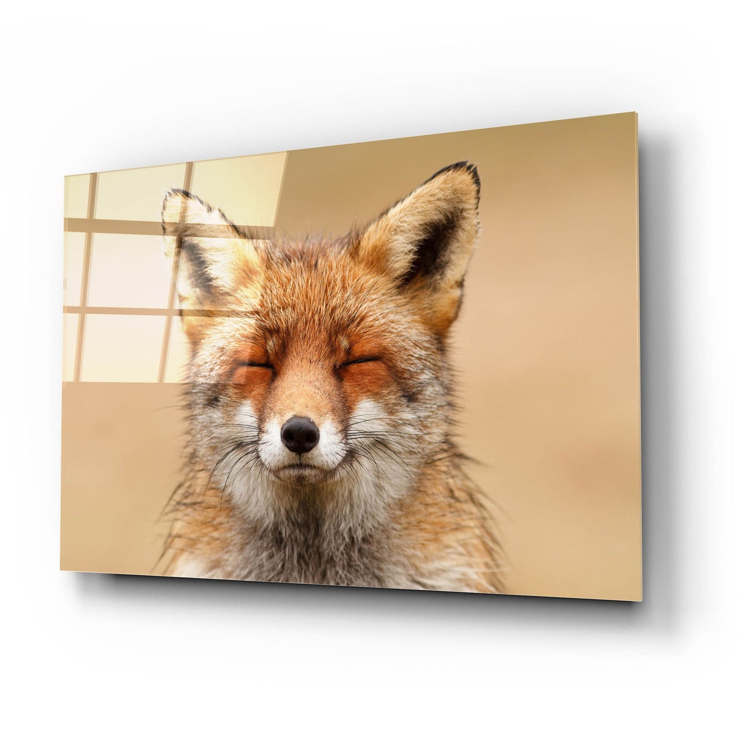 Epic Art ' Zen Fox Red Portrait' by Roeselien Raimond, Acrylic Glass Wall Art,24x16